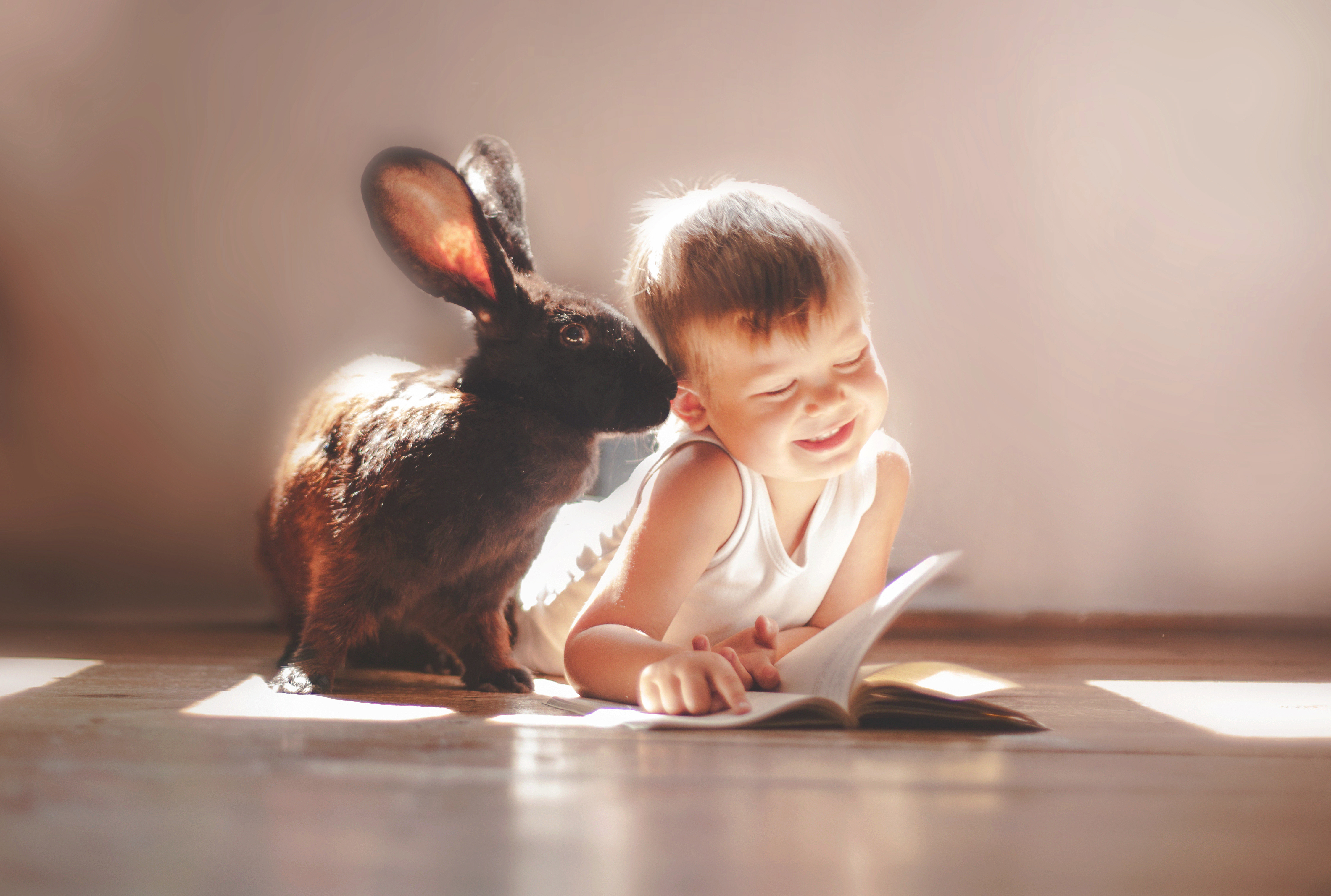 Ребенок в год кролика. Для детей. Животные. Ребенок и животное. Животные для малышей. Кролик для детей.