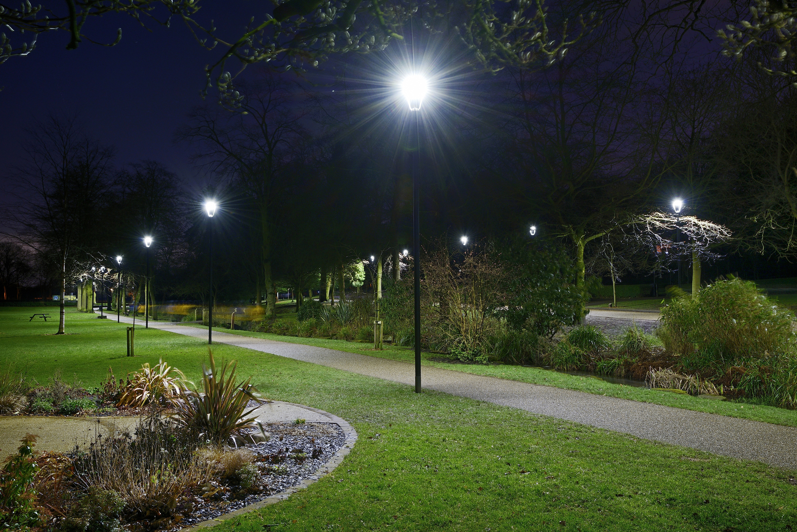 Свет в александровке. Парк ночью. Освещение в парке. Уличное освещение парков. Уличное освещение в парках.