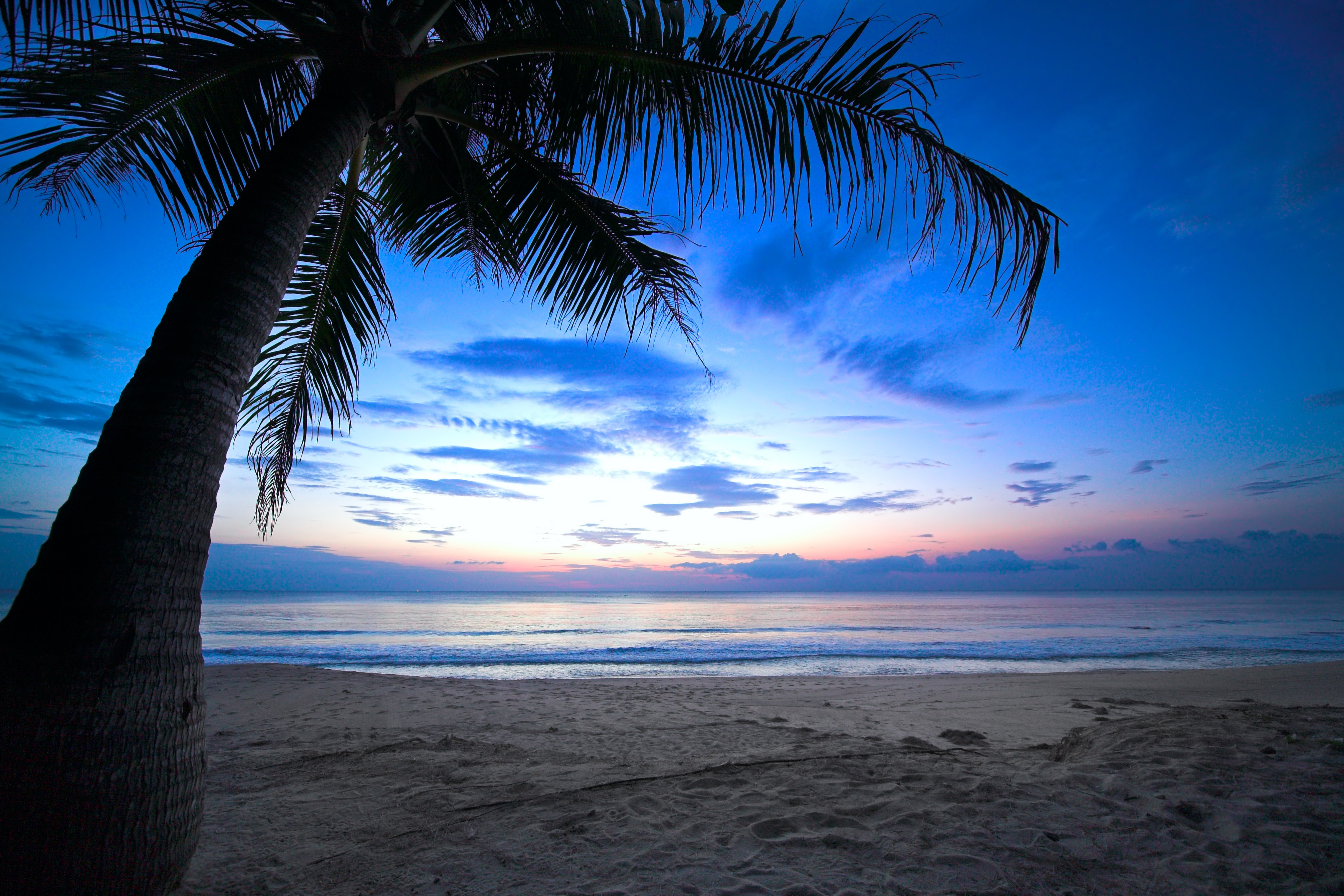 синее море, облака, пальмы, пляж, берег, огни скачать