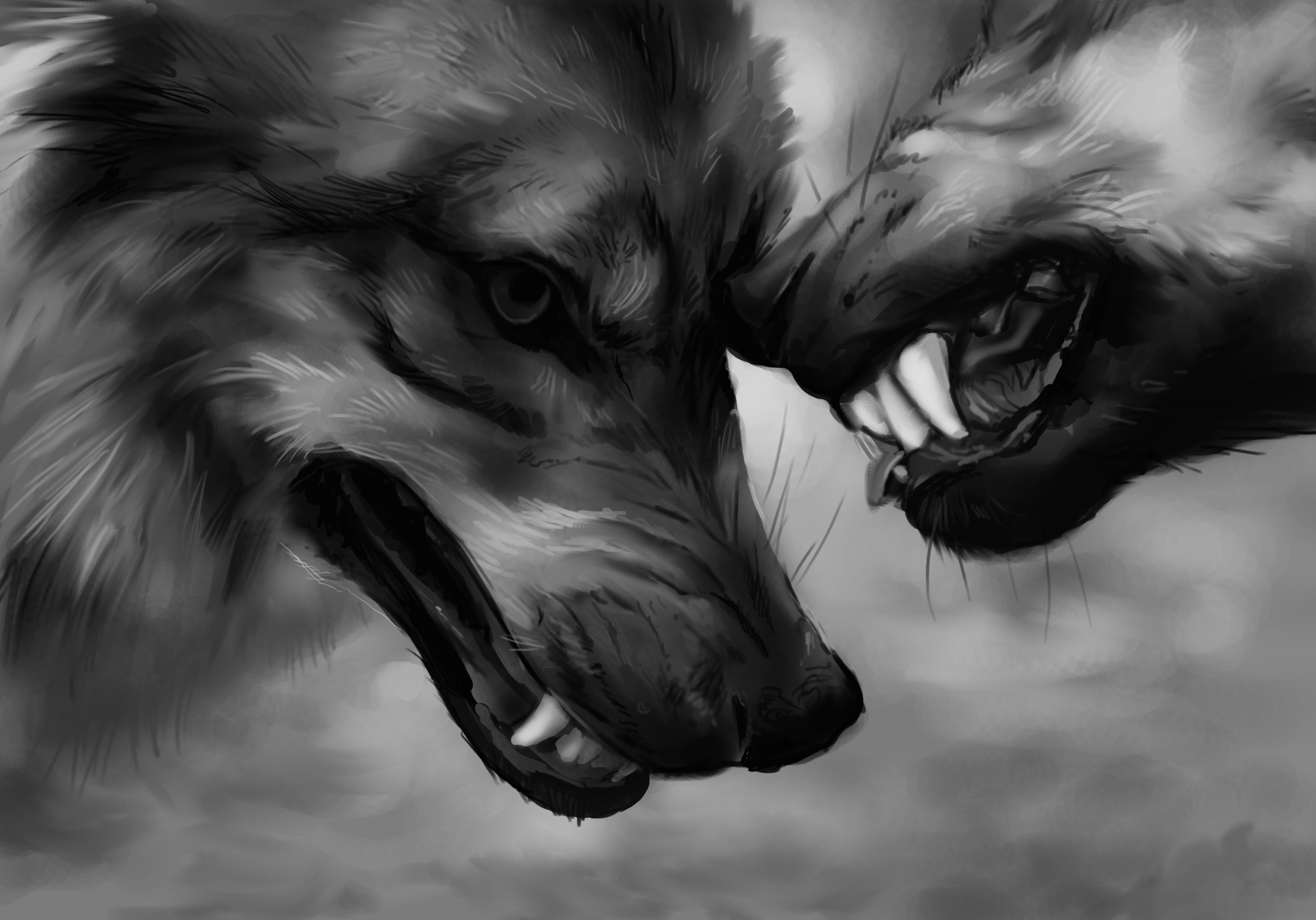 Свирепый любовь. Злой волк. Волк арт. Оскал волка. Волк рычит.