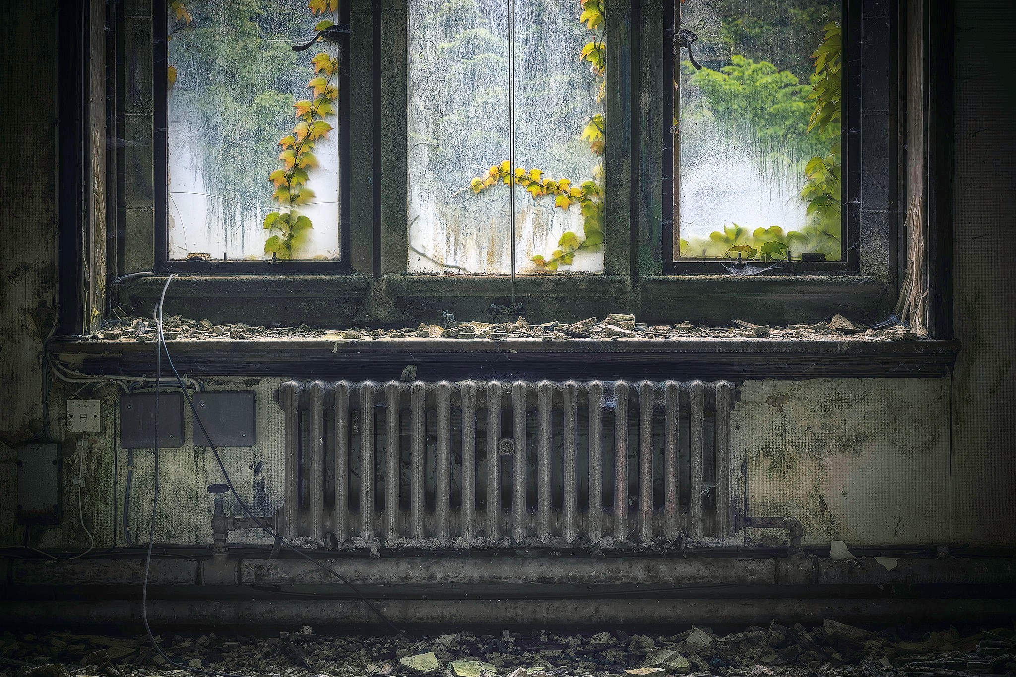 Дом старый комната окно листья без смс