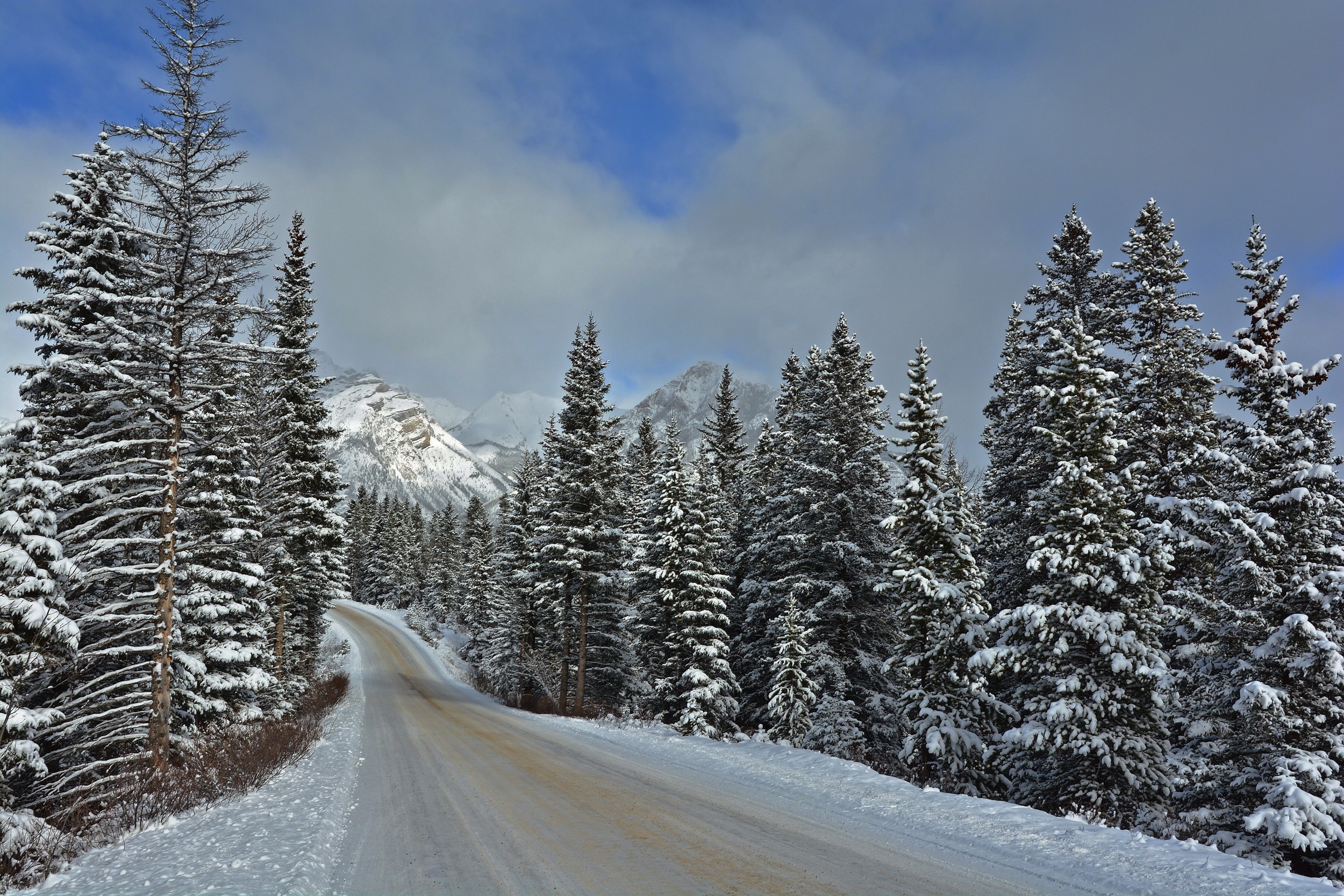 дорога снег лес road snow forest загрузить