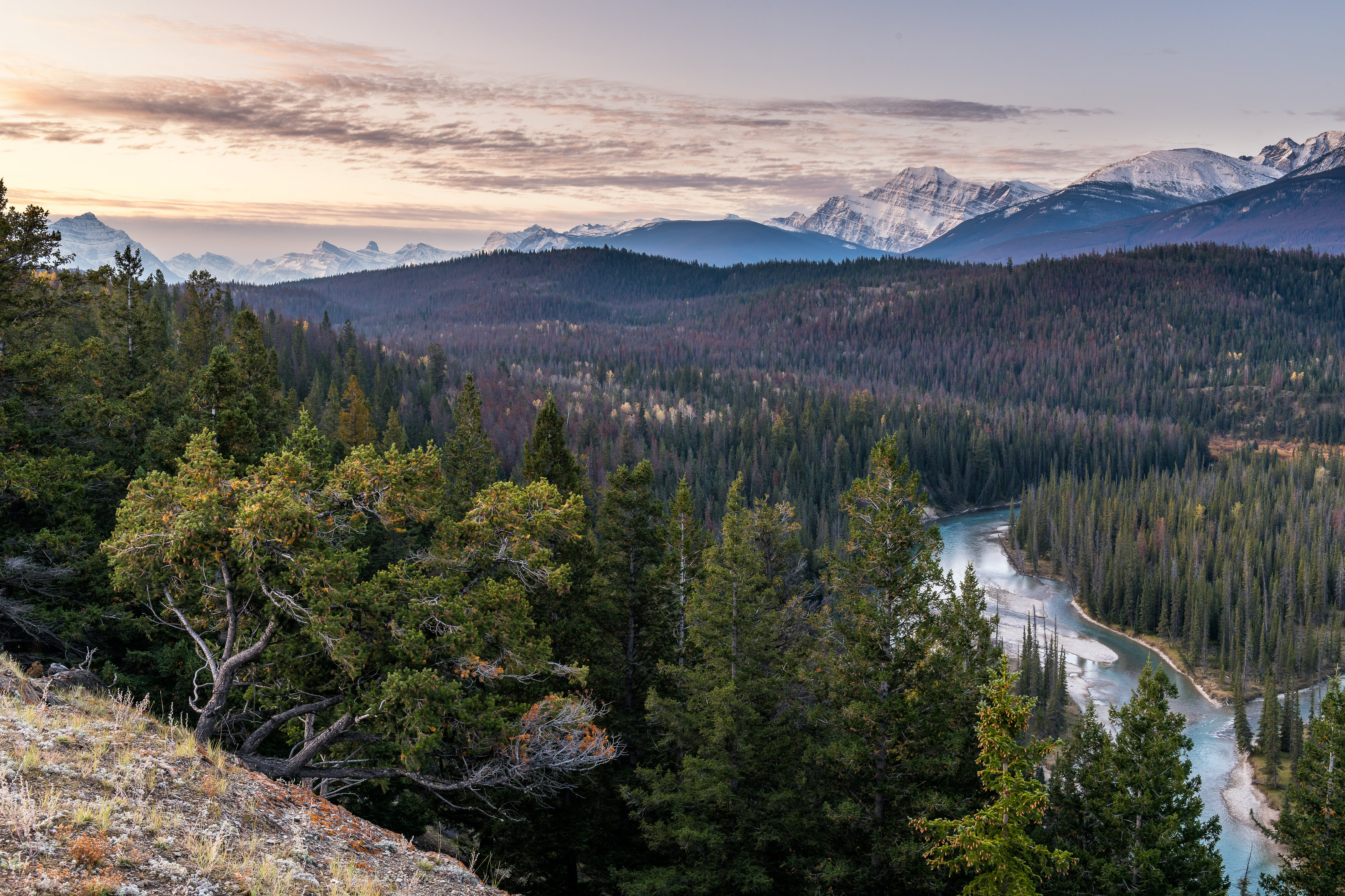 Канадский лес фото Картинка Джаспер парк Канада Alberta Горы Природа Леса 5120x3413