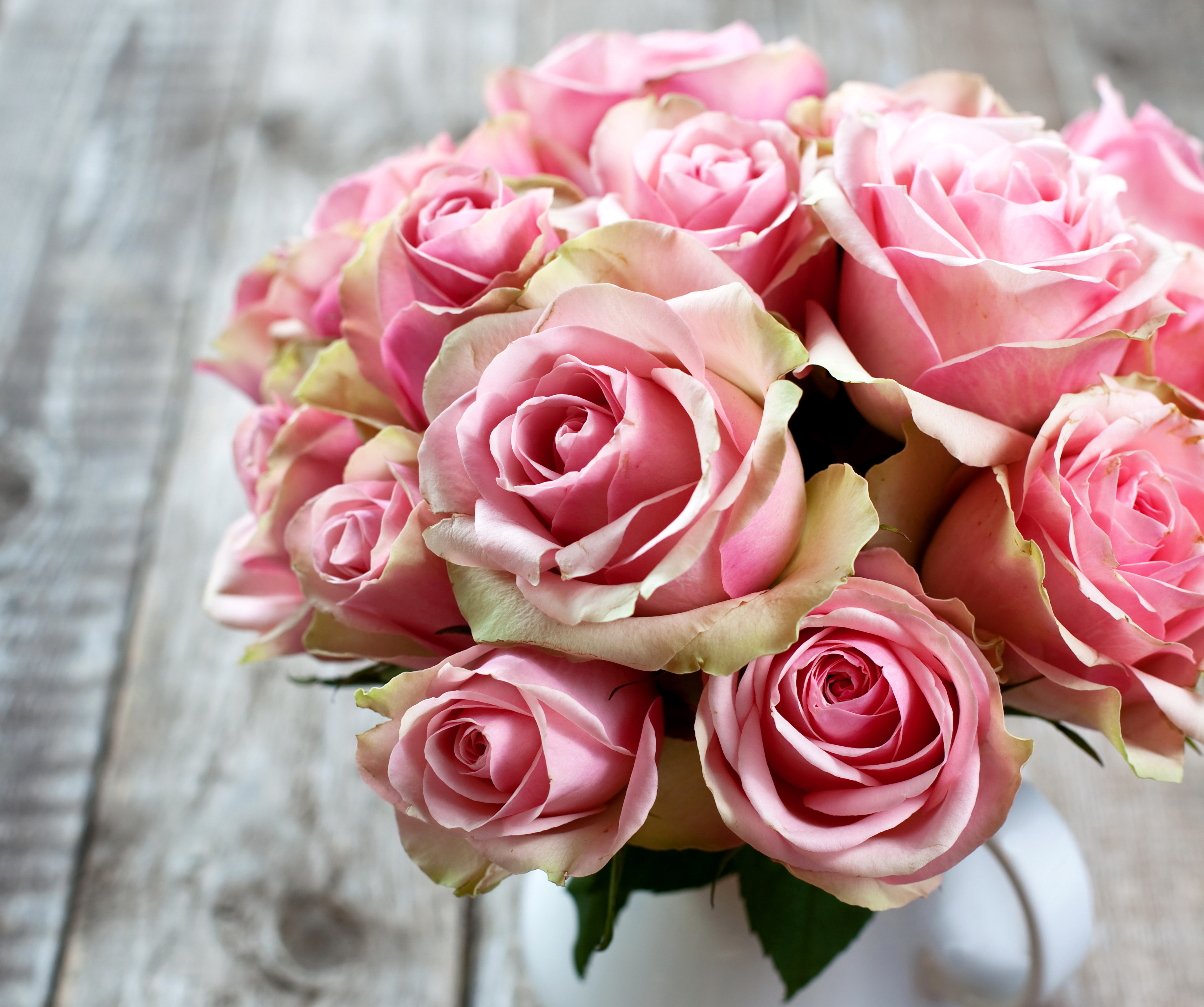 Bouquets_Roses_Pink_496424.jpg
