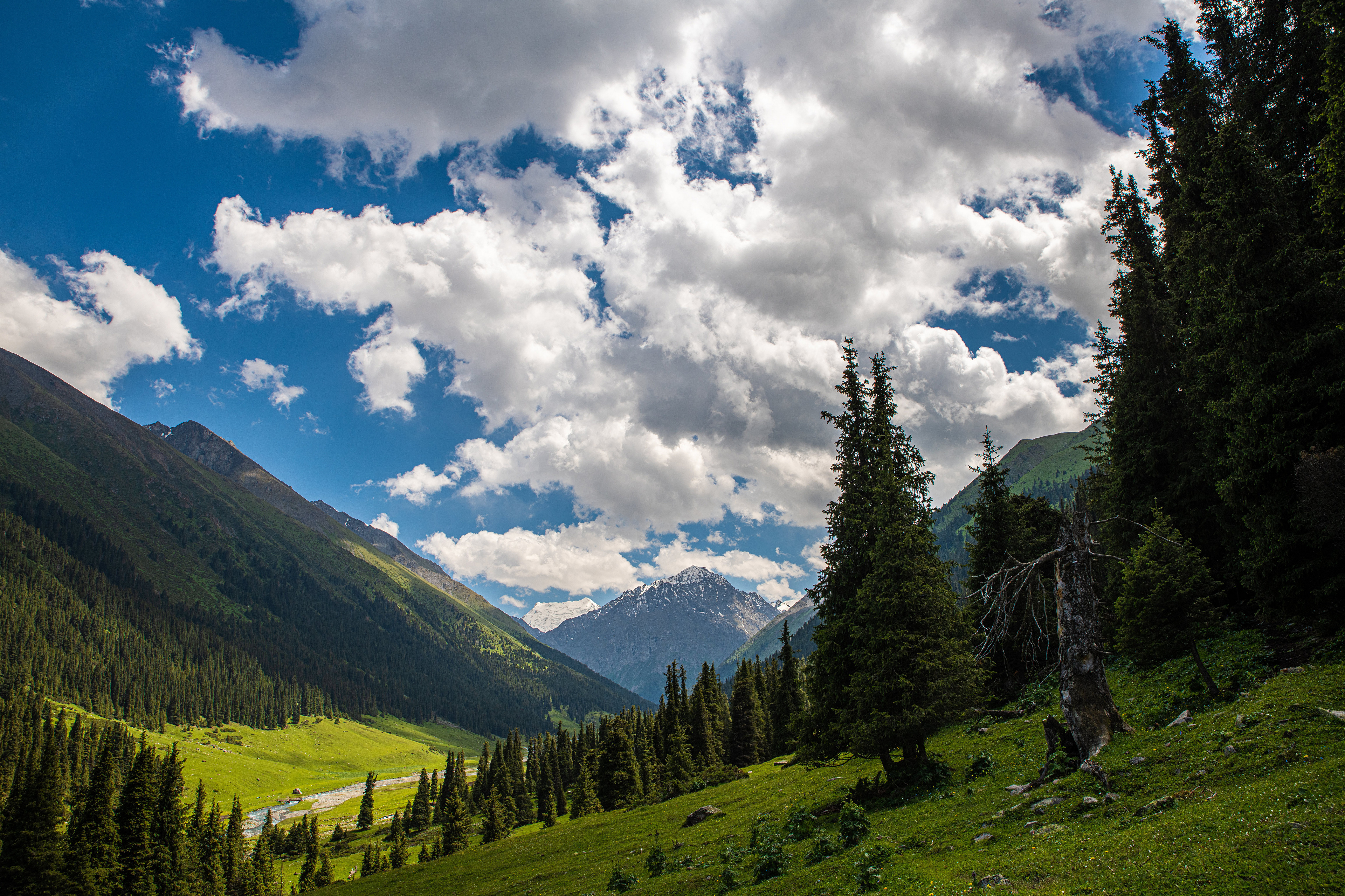 Фотографии Altyn Arashan, Kyrgyzstan гора Природа дерево облачно 3840x2560 Горы Облака облако дерева Деревья деревьев