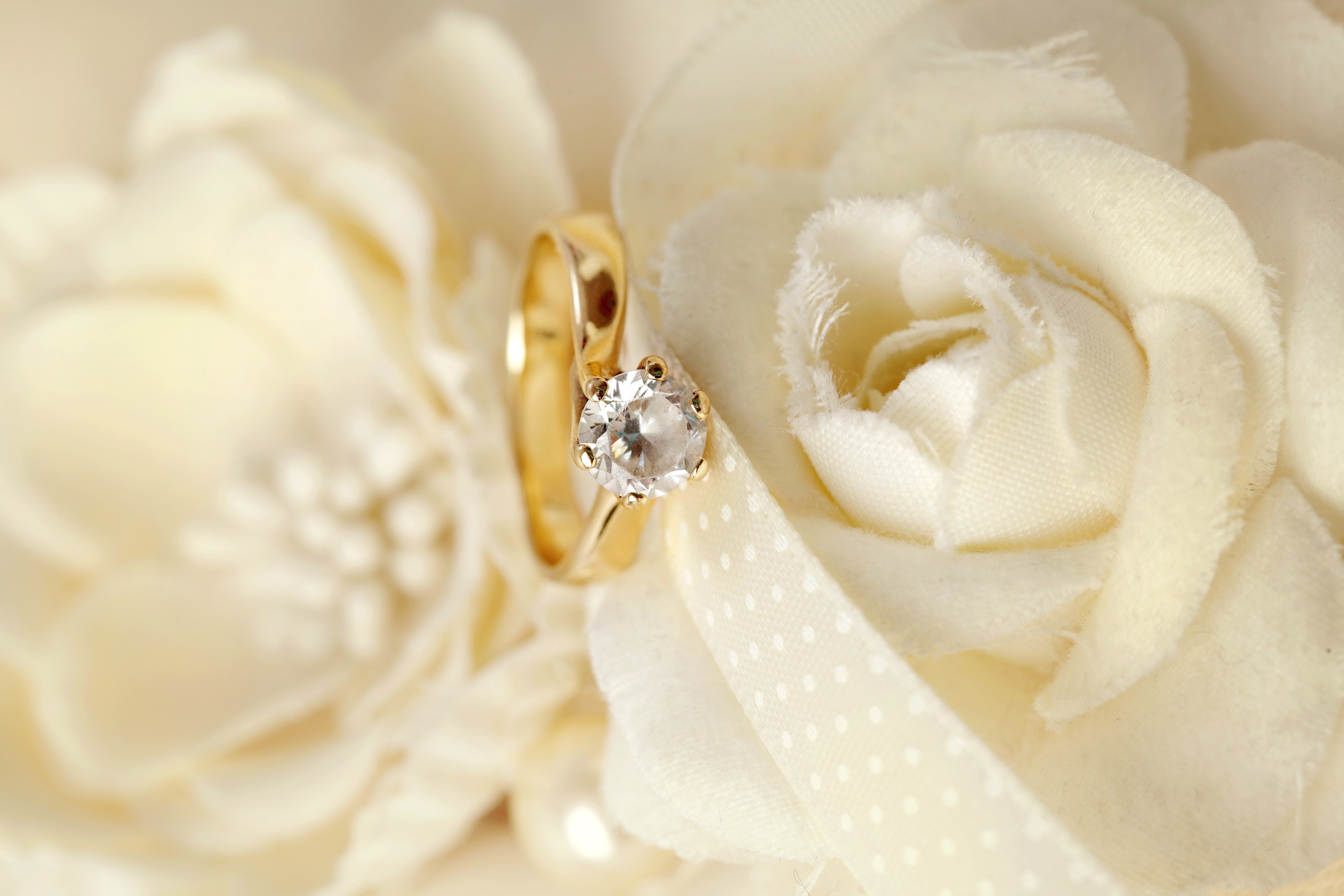 Фото кольца и цветов. Свадебные кольца. Свадебный фон. Обручальные кольца и цветы. Кольцо цветы.