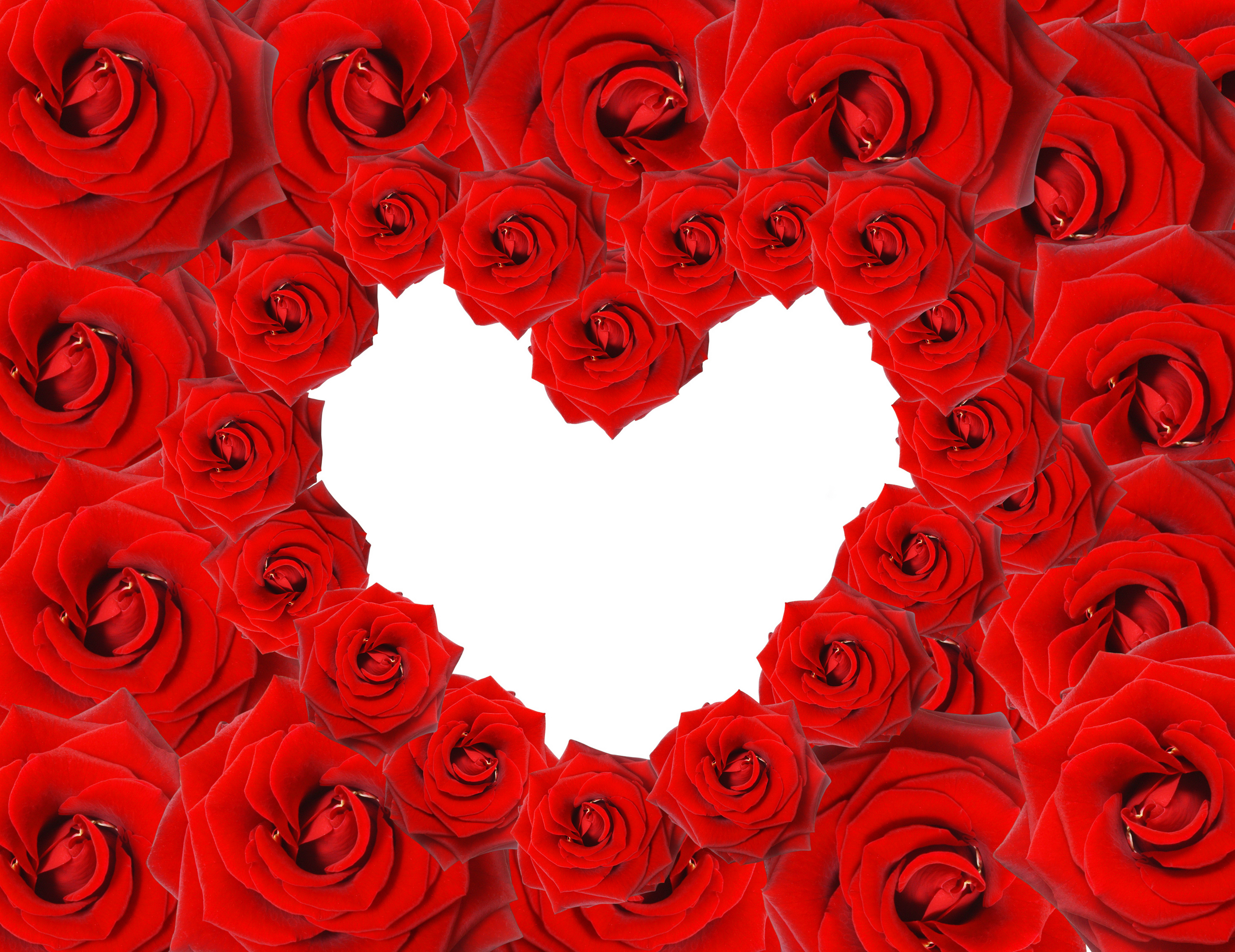 Сердечки красные розовые. Сердце из роз. Цветы сердечки. Розы в сердце. Розы фон.
