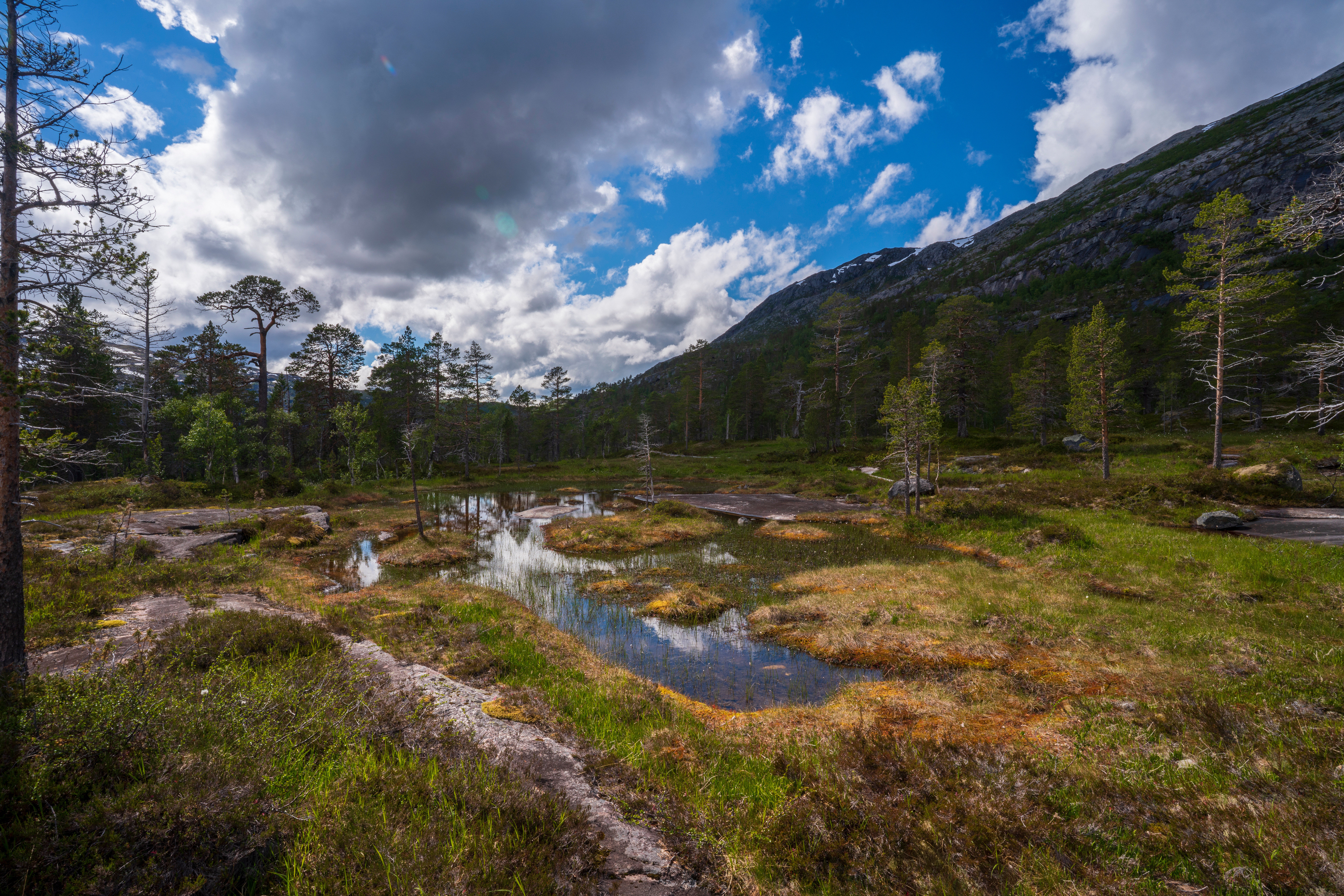 Картинки Норвегия Rago National Park гора Природа Парки дерево Облака 5120x3415 Горы парк дерева облако Деревья облачно деревьев