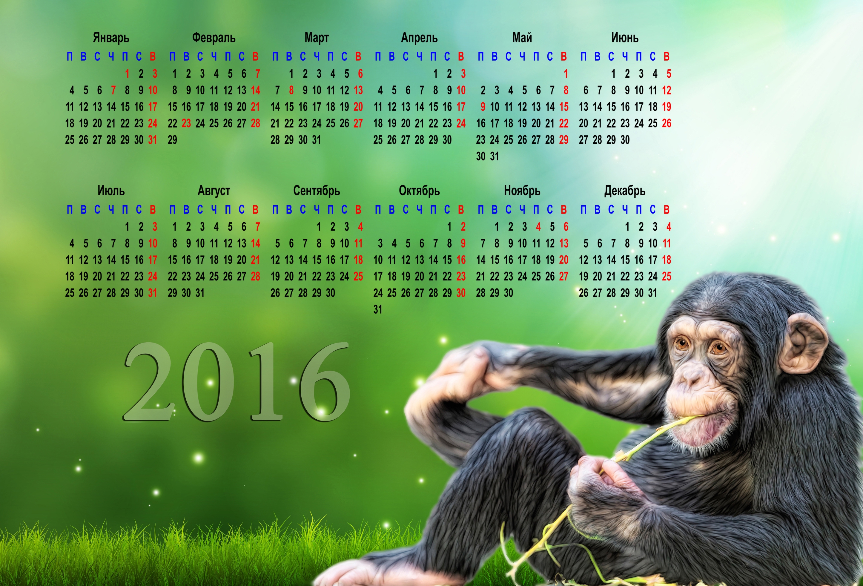 Год обезьяны животных. Календарь 2016. Календарь 2016 год обезьяны. Календарь с обезьяной. Календарь с обезьянами 2016.