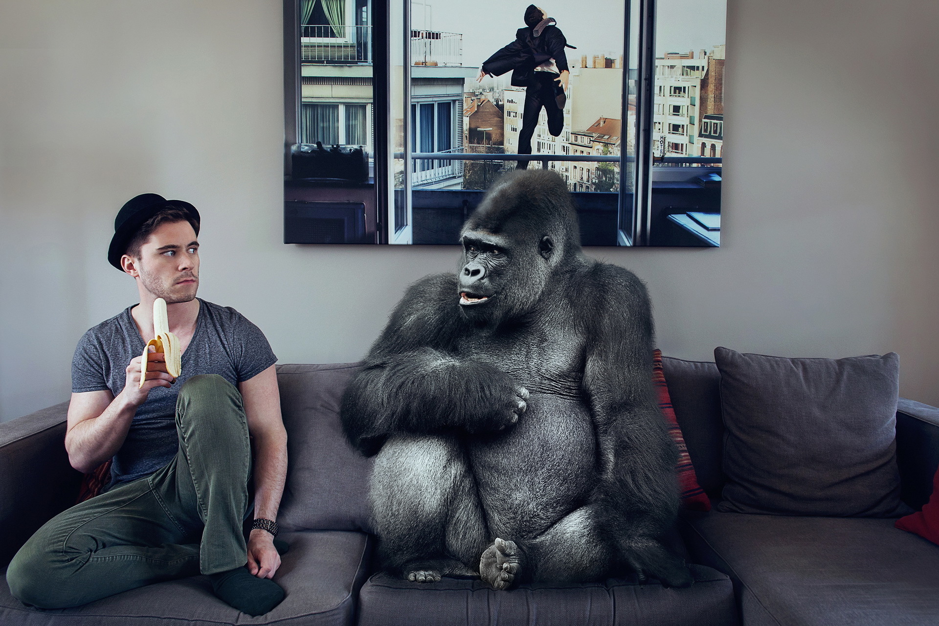 Самая смешная картинка прикол. Люди и животные. Мужчина обезьяна. Горилла смешная. Обезьяна на диване.