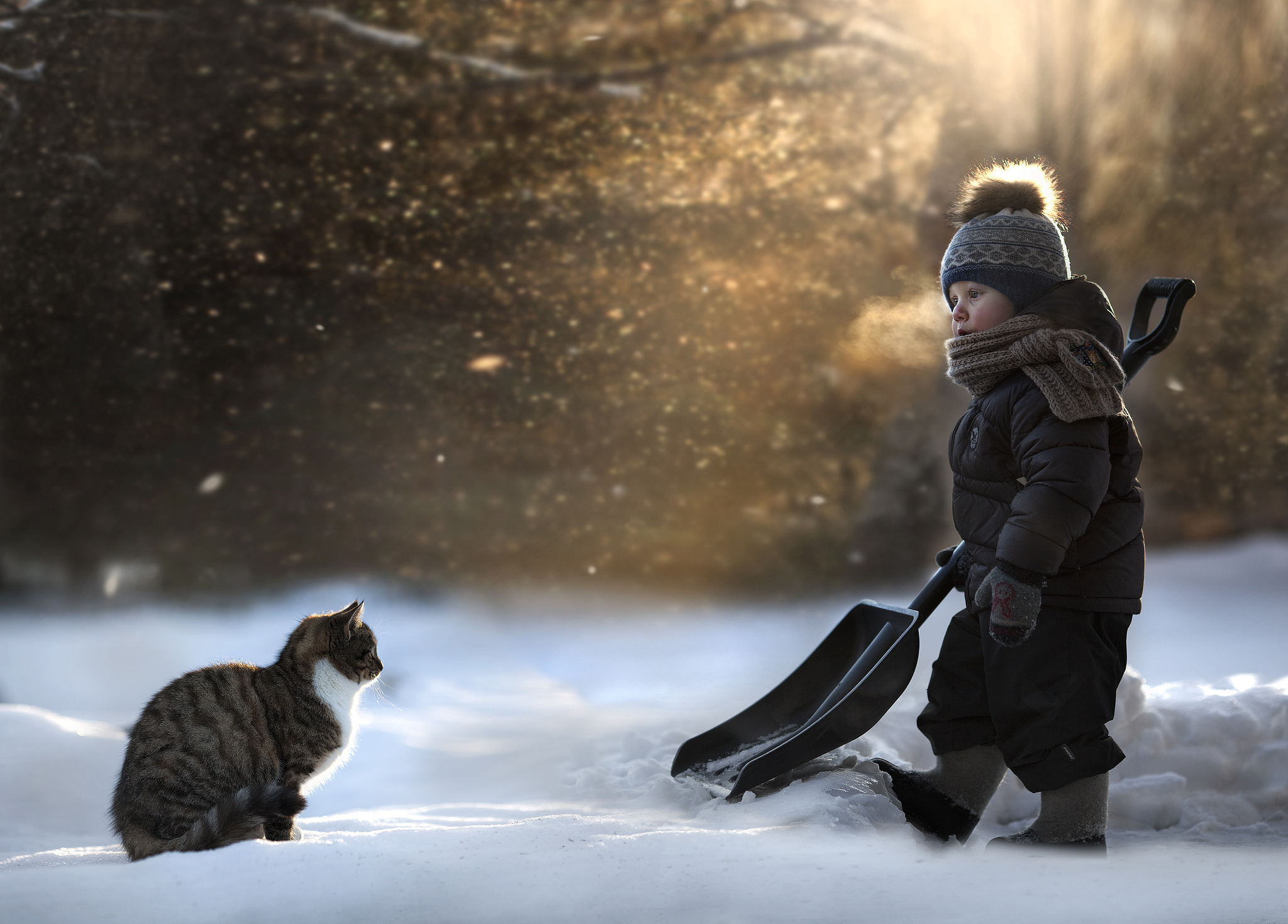 Кот в одежде зимой