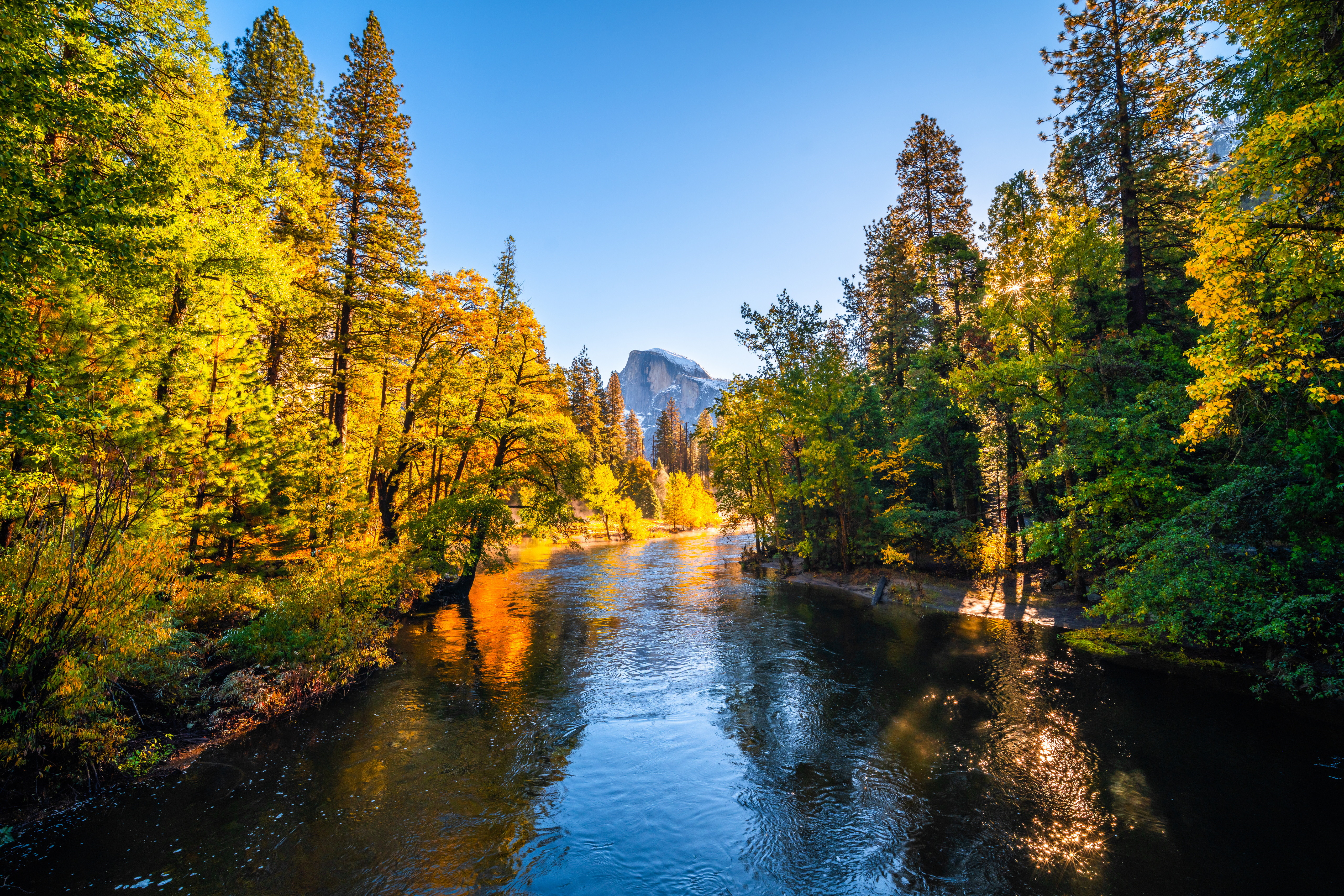 Картинка Йосемити америка гора осенние Природа Парки река дерево 5120x3413 США штаты Горы Осень парк Реки речка дерева Деревья деревьев