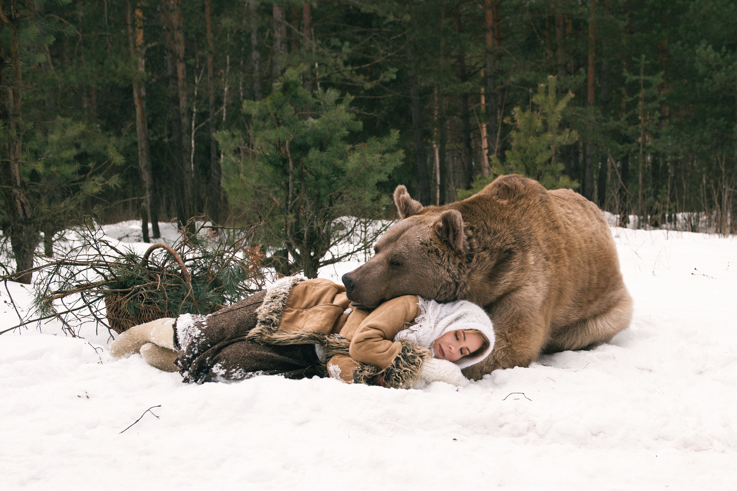 Есть ли медведь людей. Медведь зимой. Медведь зимой в лесу. Медведь в лесу.