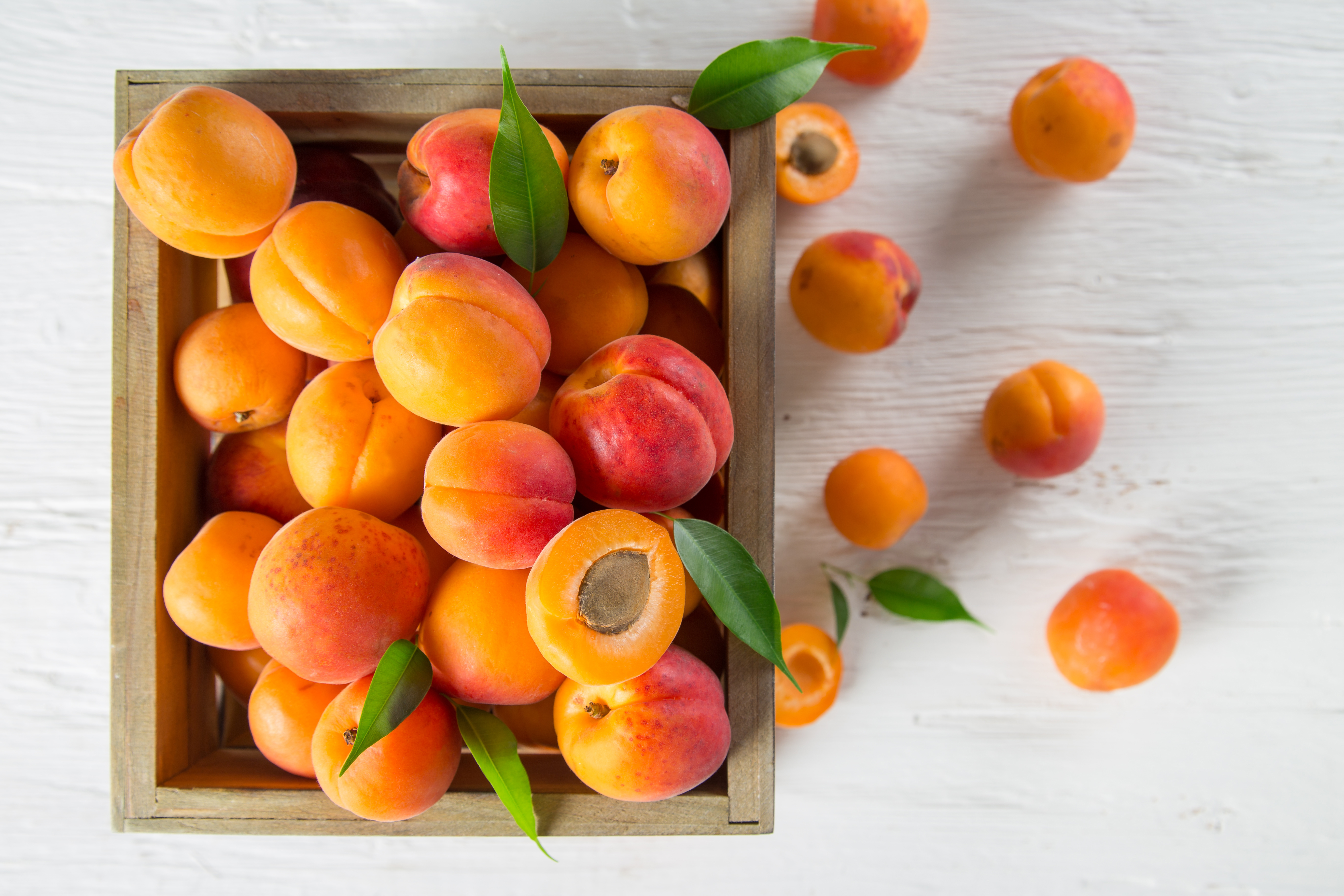 Фото абрикосов и персиков. Нектарин и абрикос. Персик, манго,абрикос,нектарин. Фрукты абрикосы нектарины. Абрикос (плод).