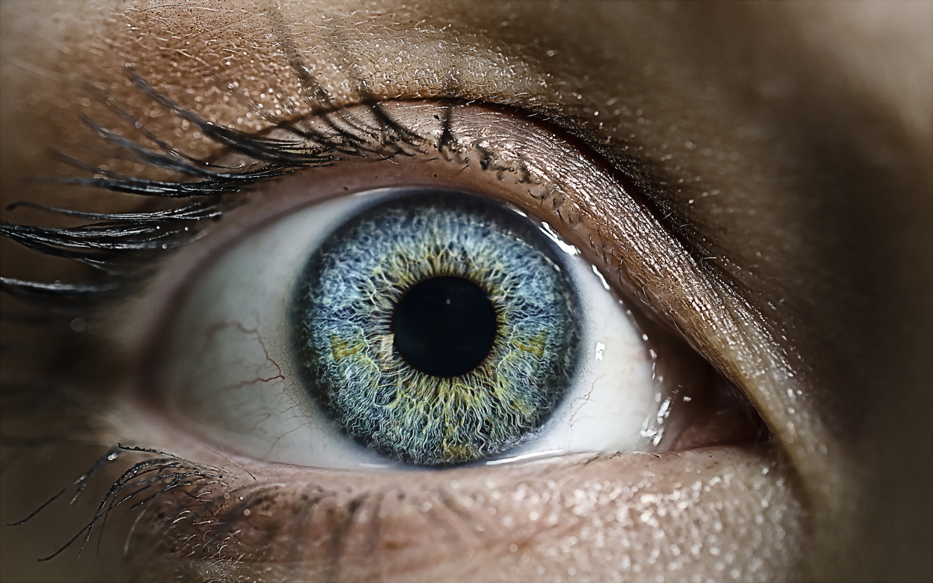 Аж глаза есть. Глаза. Человеческий глаз. Глаз крупно. Макросъемка глаза человека.