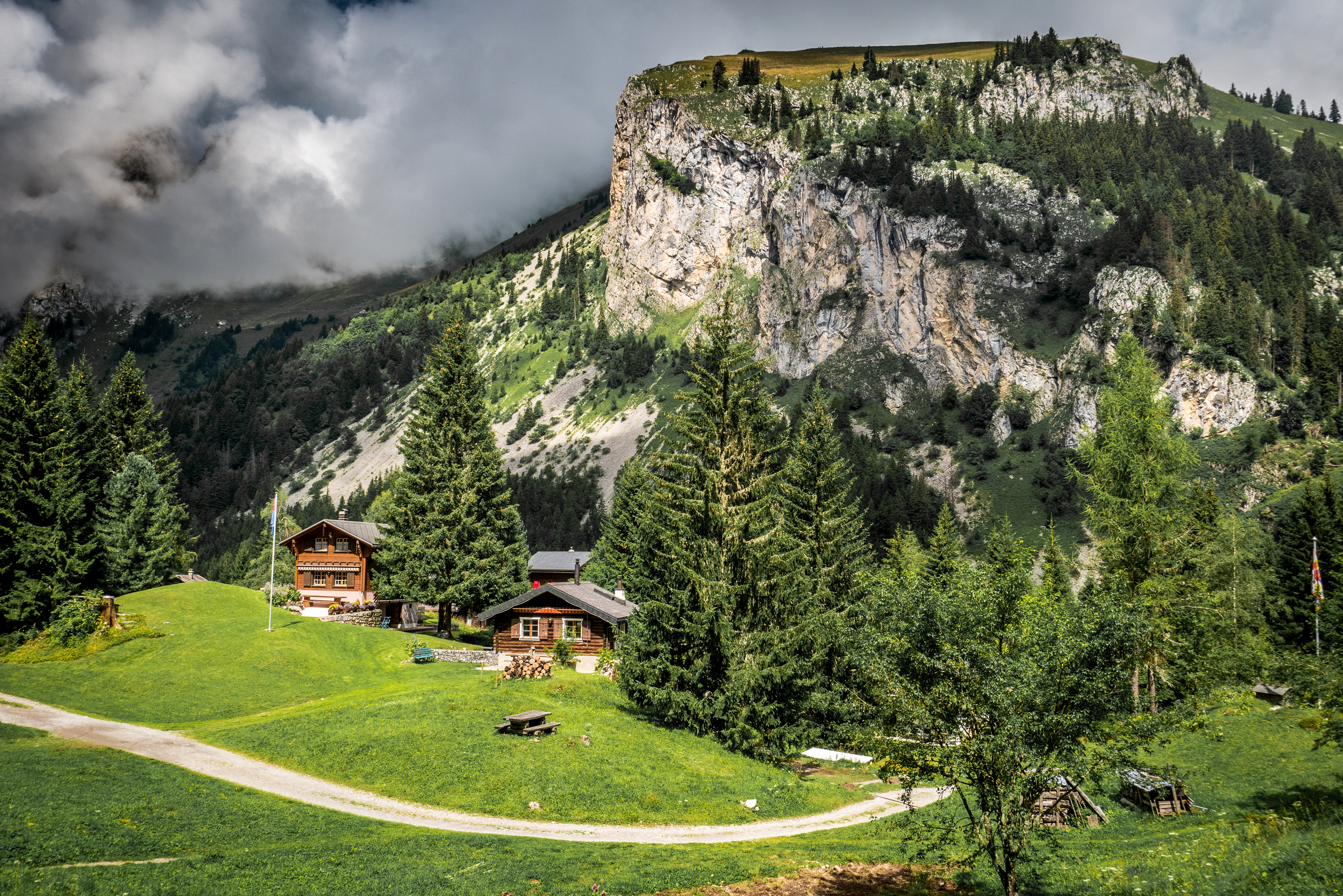 France mountains. Франция Альпы горные леса. Альпийские Луга Франции. Альпы Франция домик. Домик в горах Монблан.