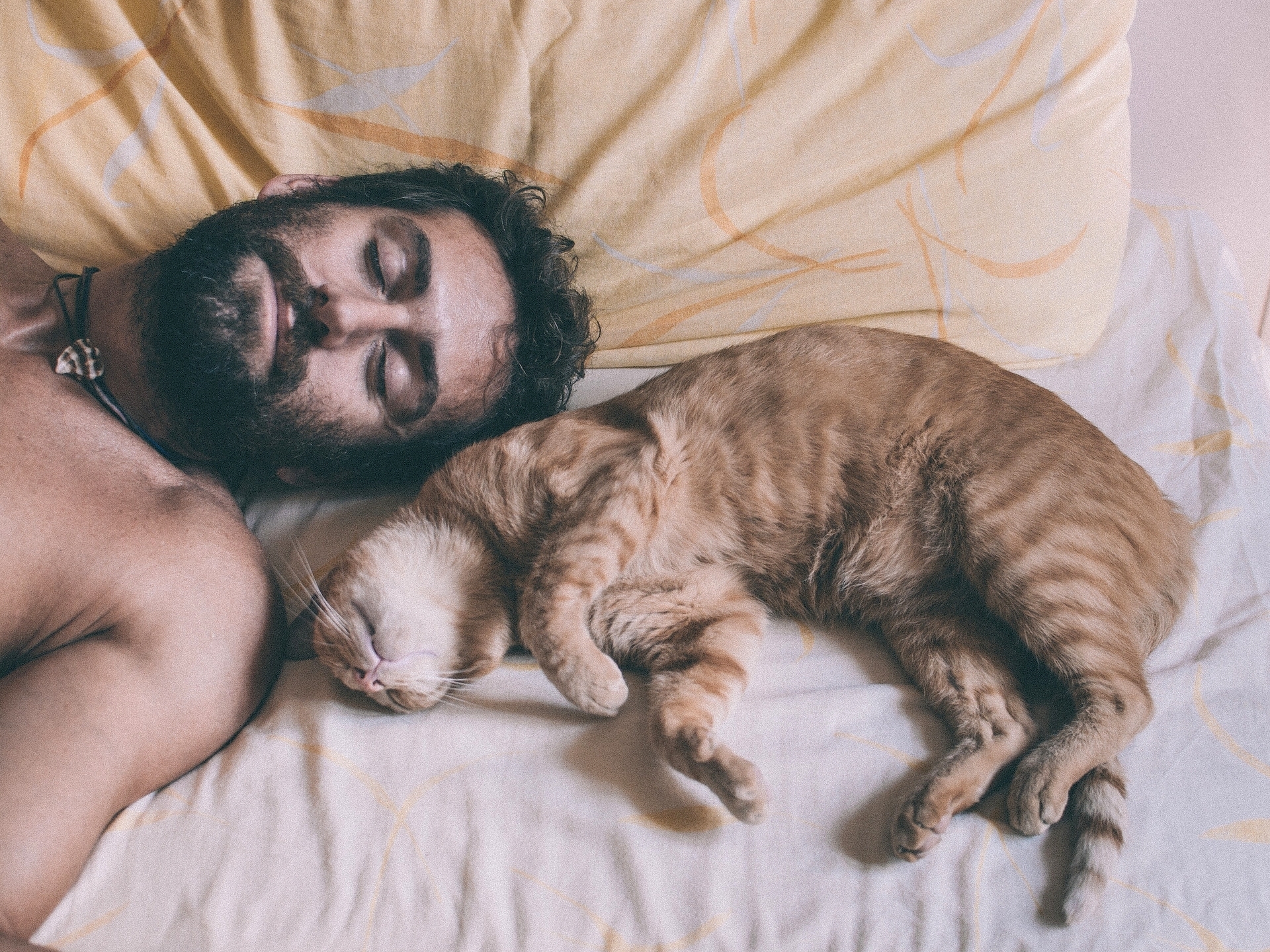 Мужем они спят на. Мужчина с котом. Кровать для кошки. Кот лежит.