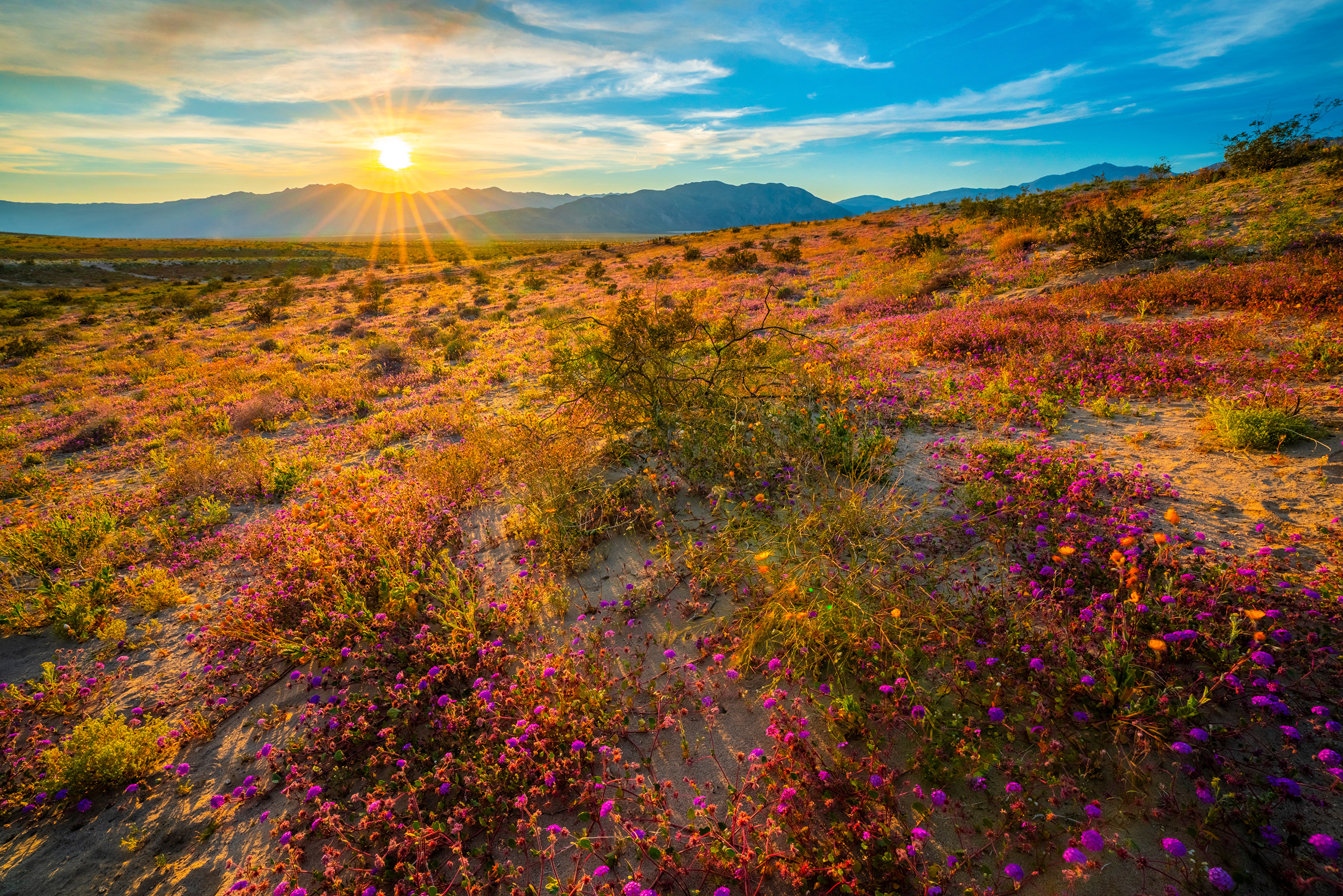Фотография штаты Anza-Borrego Desert State Park Горы солнца Природа парк Пейзаж 3840x2561 США америка гора Солнце Парки