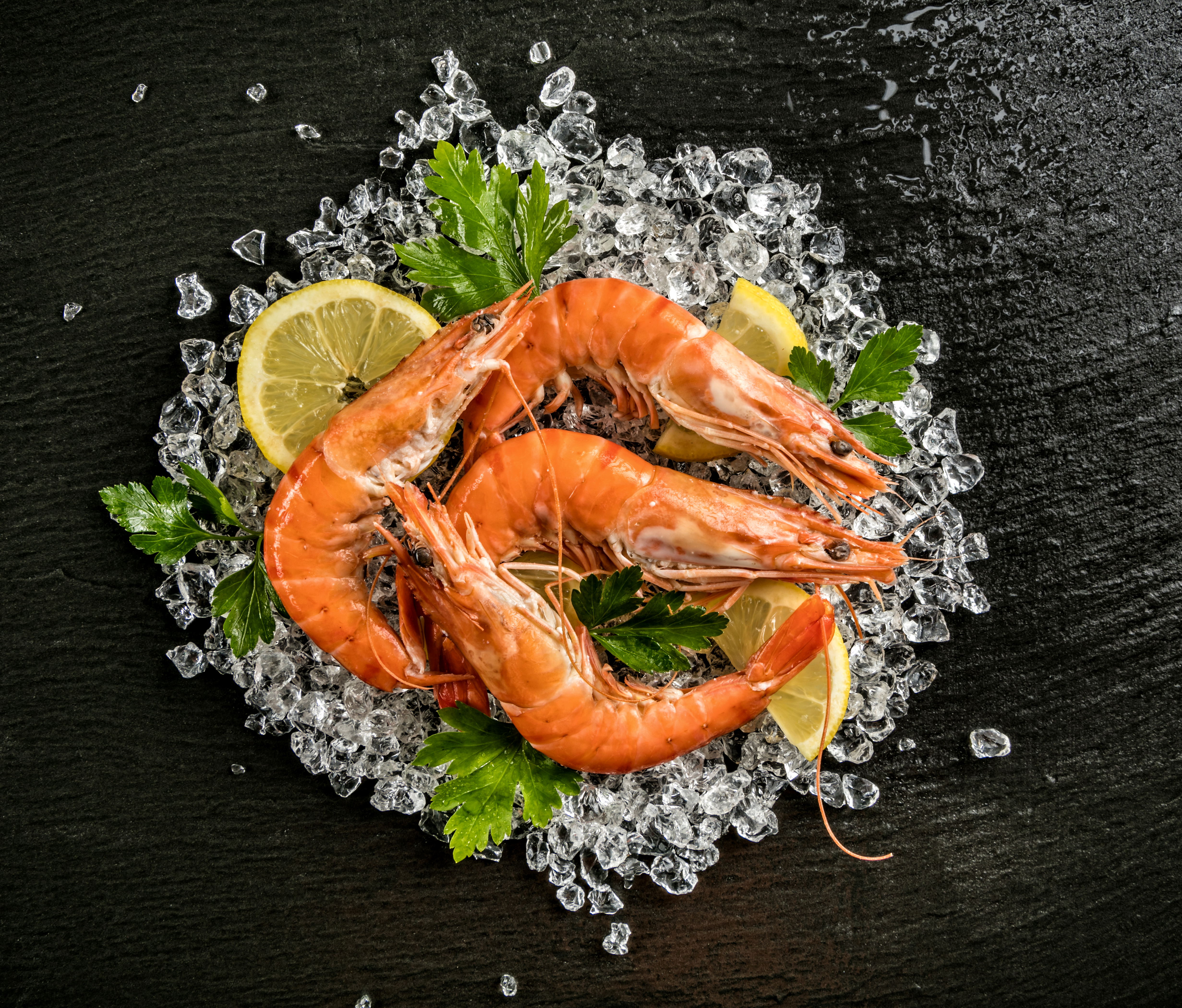 морепродукты seafood бесплатно