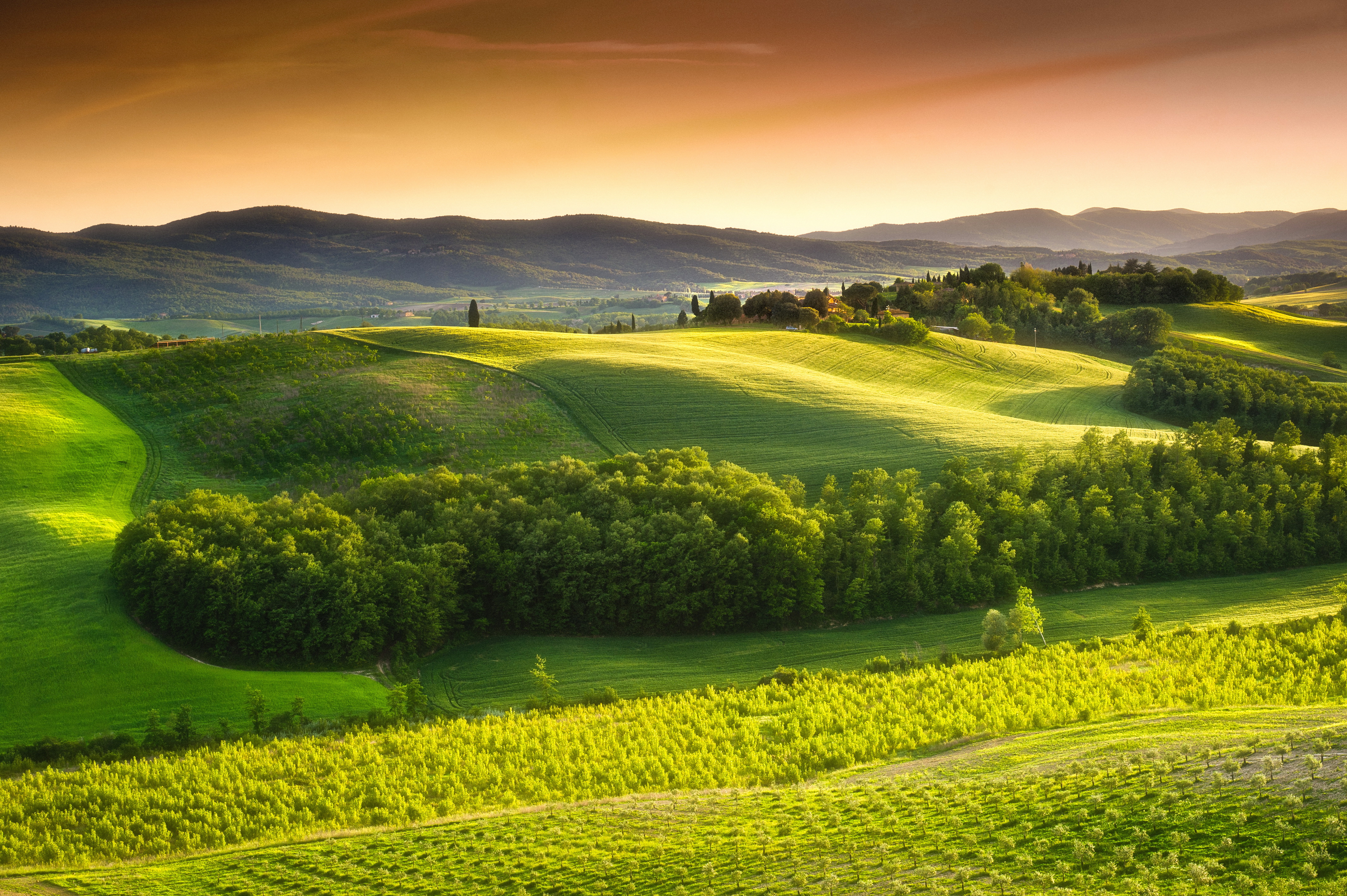 Природный ландшафт. Тоскана Италия. Италия, зеленые поля Тосканы. Ландшафт Тосканы. Италия Тоскана природа летом.