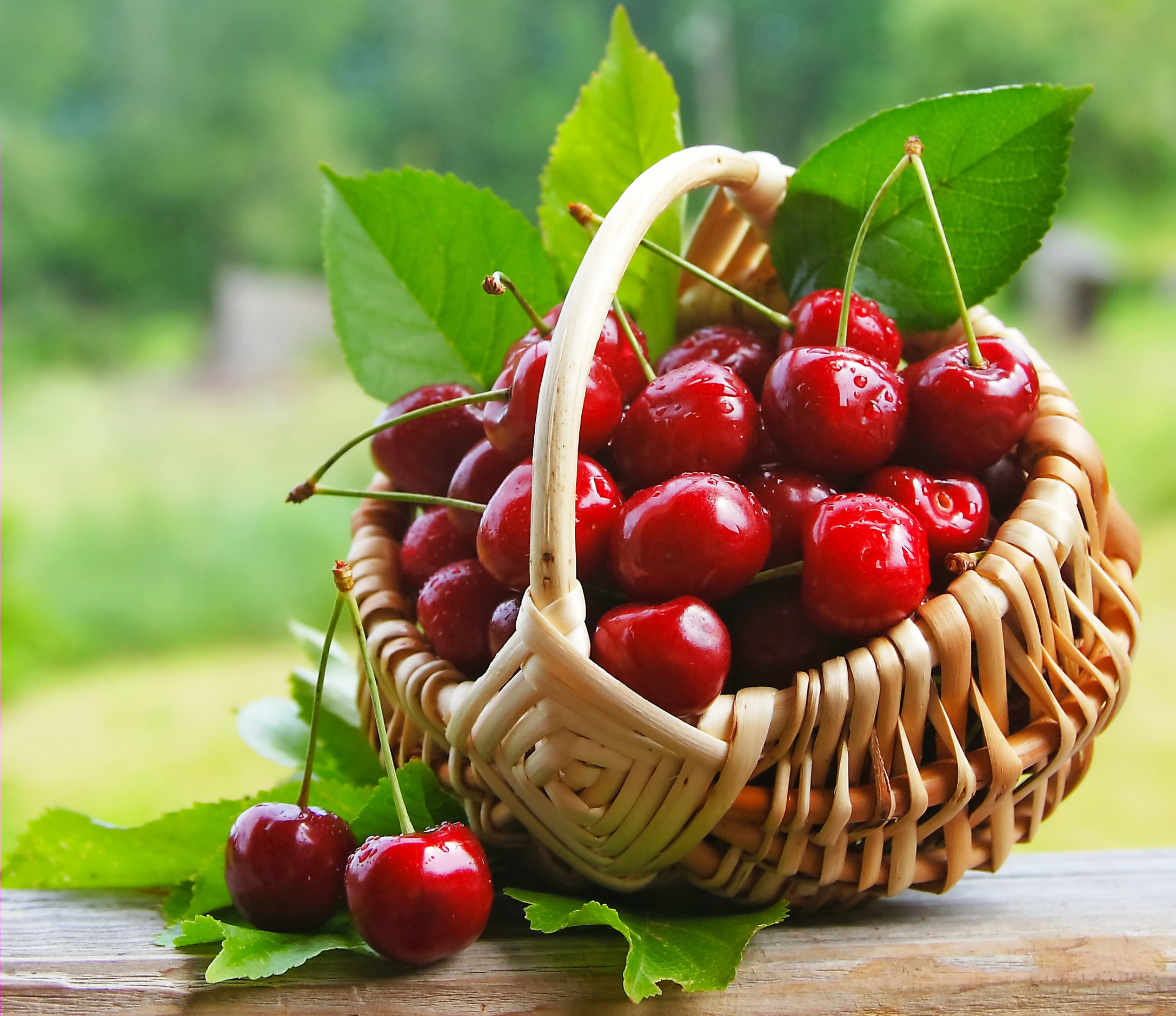 еда ягоды вишня черешня корзина природа скачать