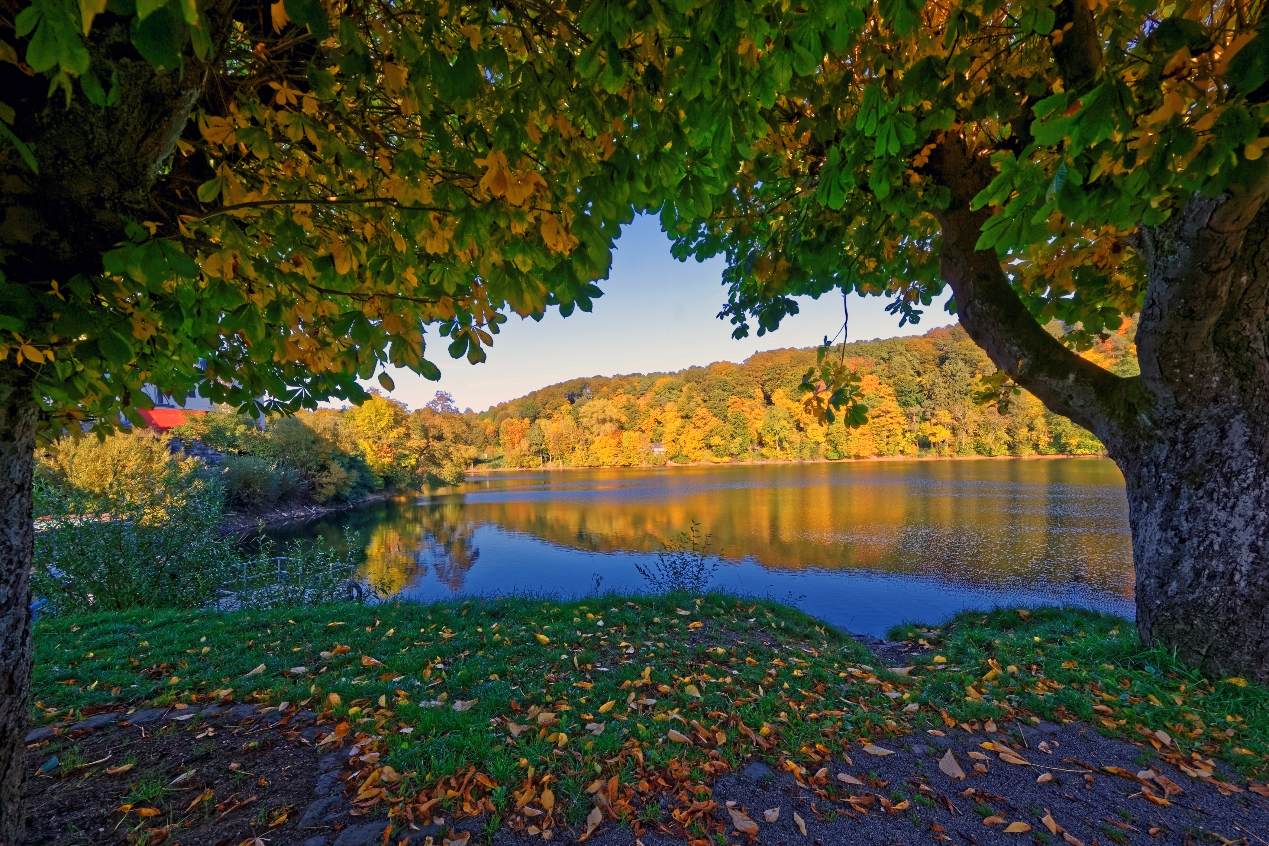 Осень листья речка скачать