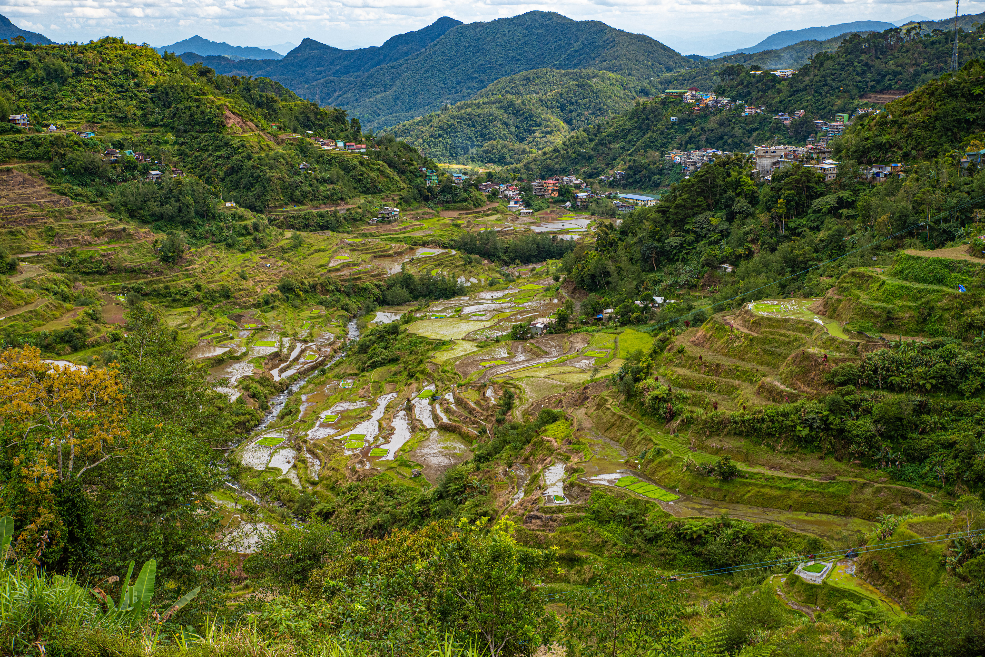 Фото Филиппины Banaue rice terraces, Ifugao гора Природа Поля Деревья 3840x2560 Горы дерево дерева деревьев
