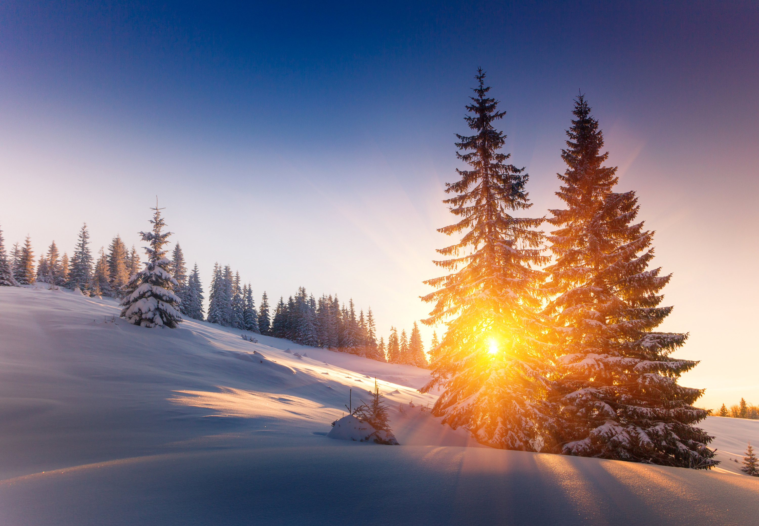 Красивое солнце зима. Зимний рассвет. Рассвет зимой. Зима солнце. Зимний закат.