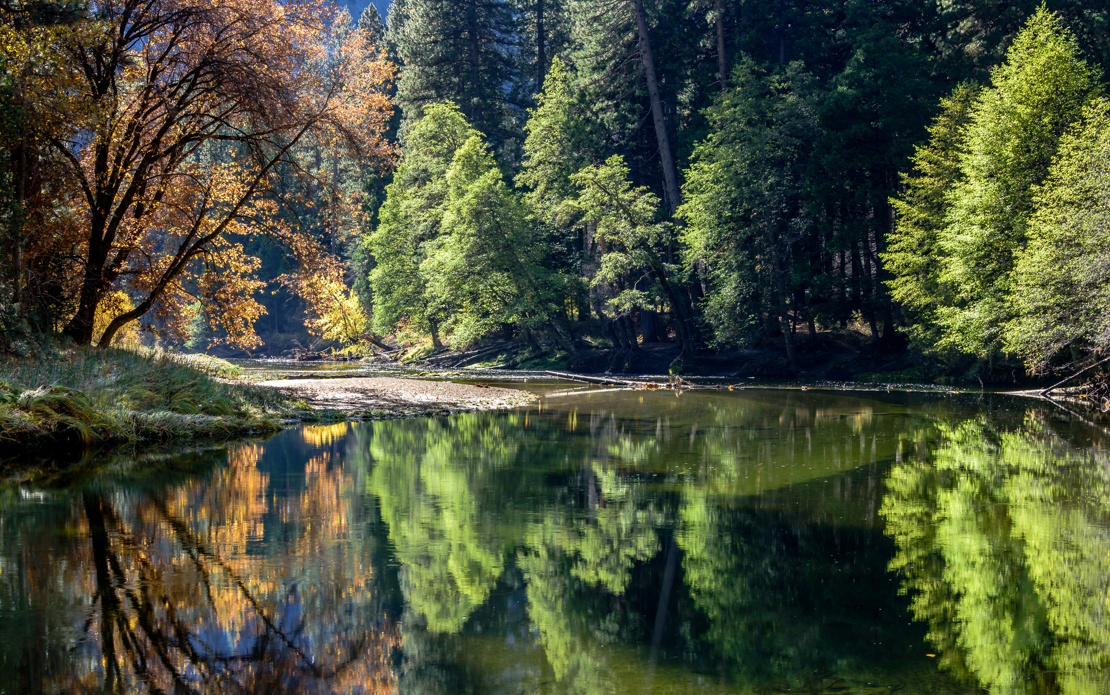 природа озеро деревья отражение скачать