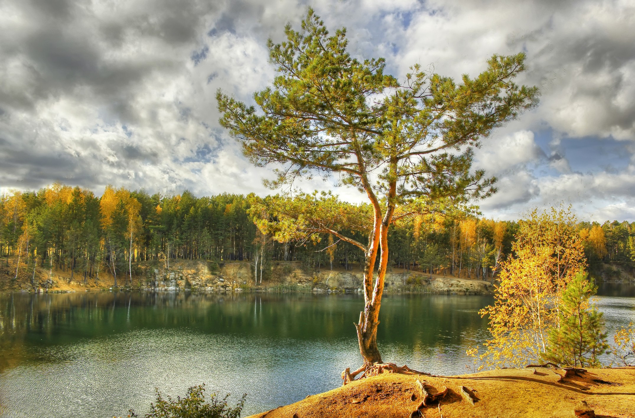природа деревья озеро осень nature trees the lake autumn без смс