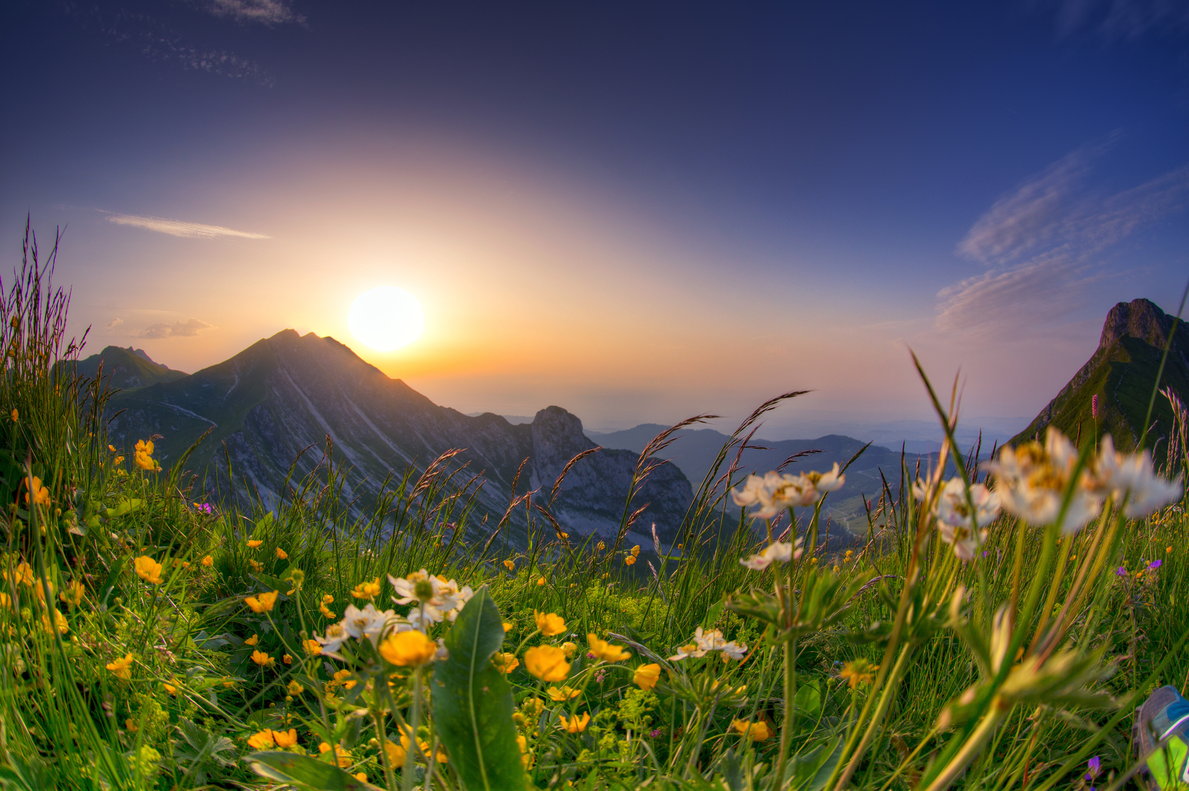 Спокойной утро природа. Рассвет горы цветы Бештау. Горы солнце. Солнечный пейзаж. Природа солнце.