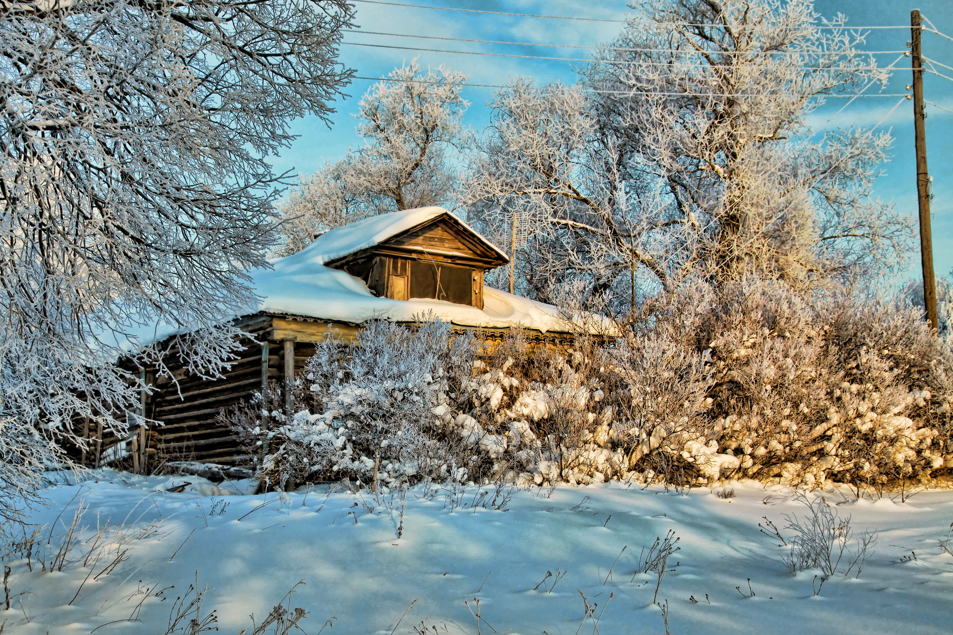 снег деревья дом скачать