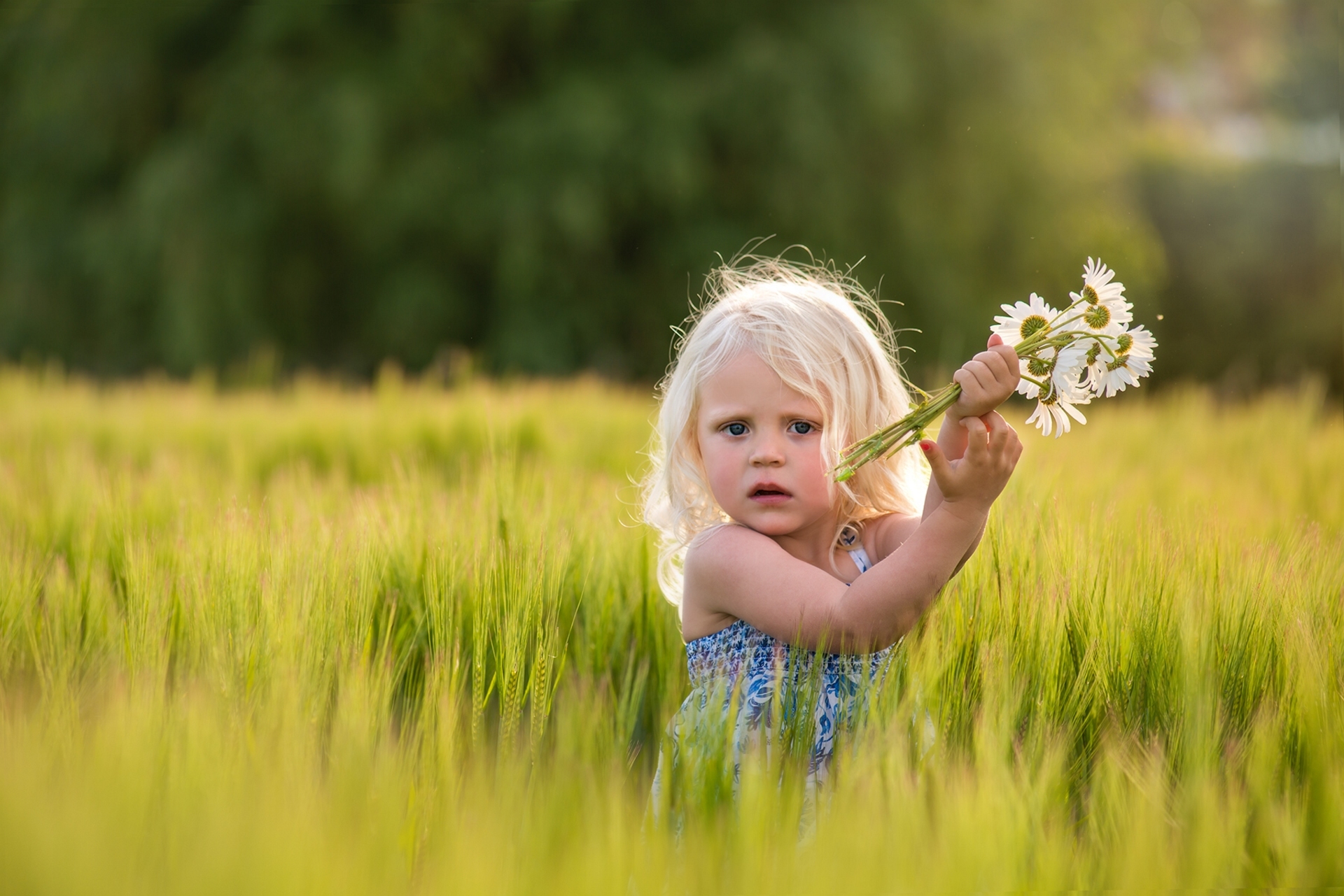 Девочка с полевыми цветами без смс