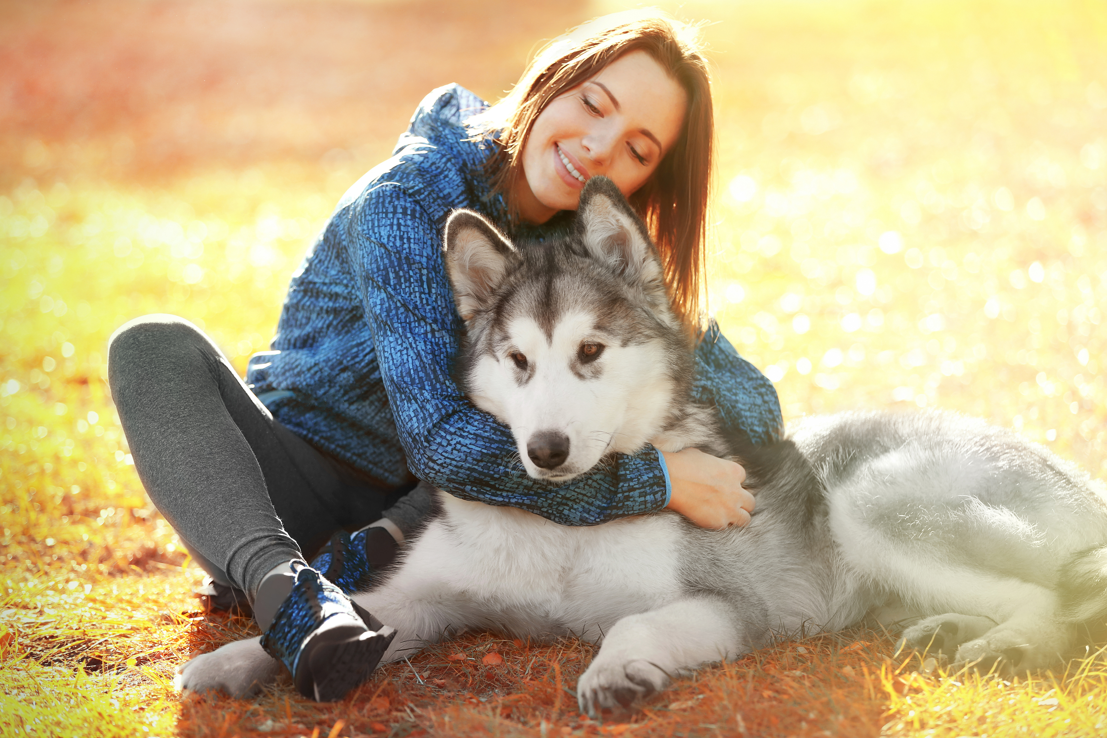 Картинка девушки с собакой. Маламут. Сибирский хаски с человеком. Девушка с собакой. Красивая девушка с собакой.