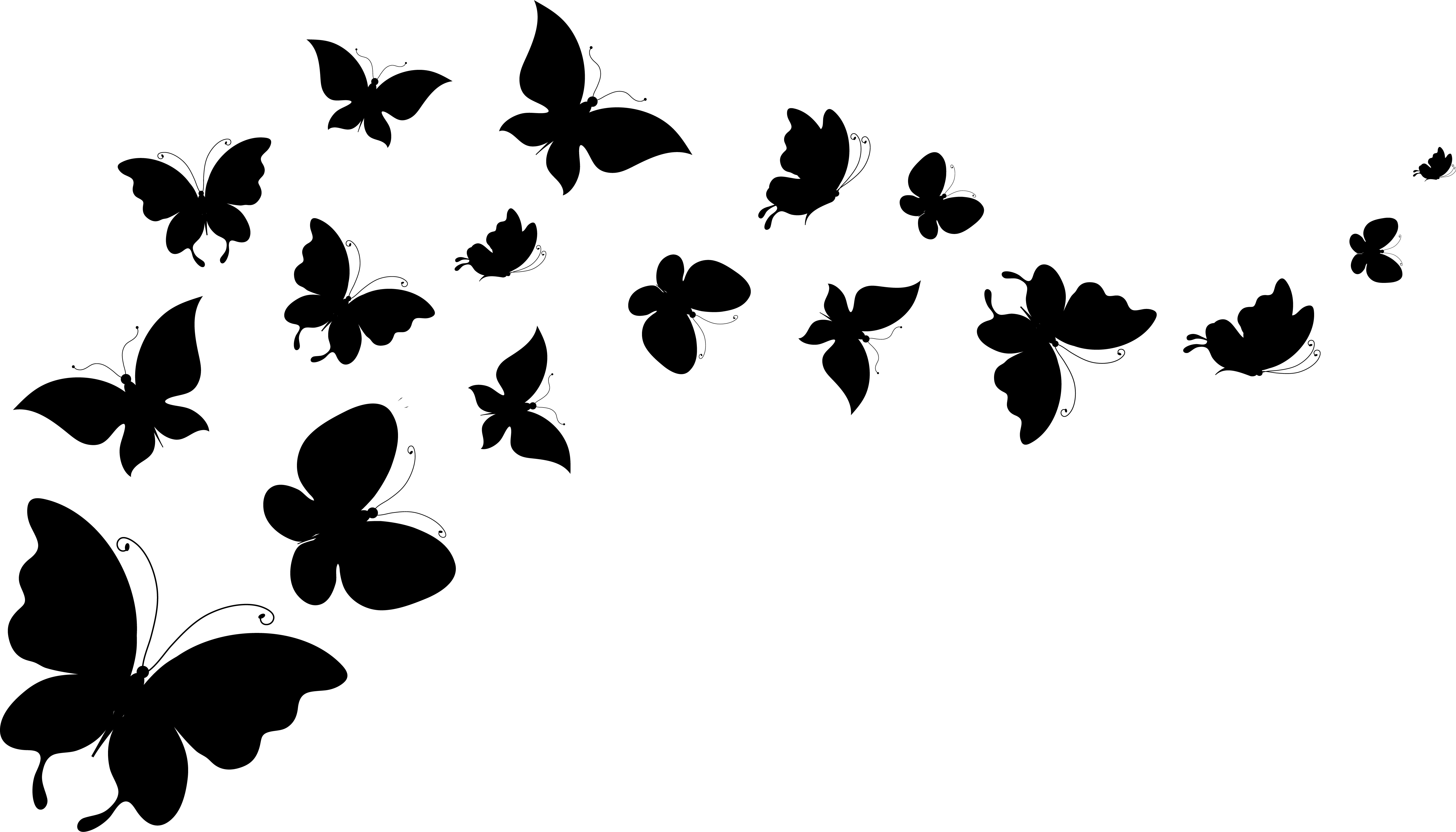 черно-белая бабочка без смс