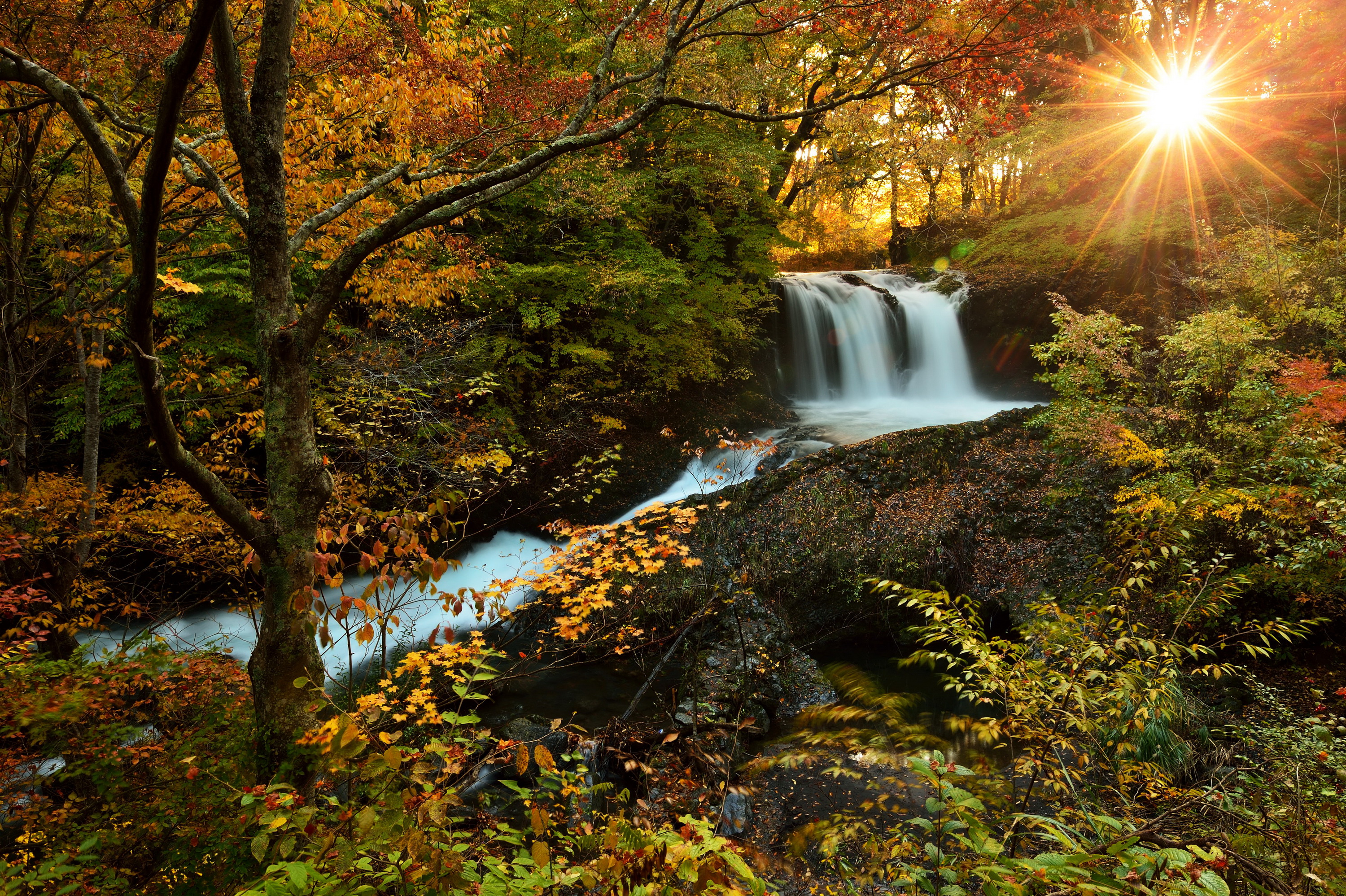 водопад лес осень waterfall forest autumn без смс