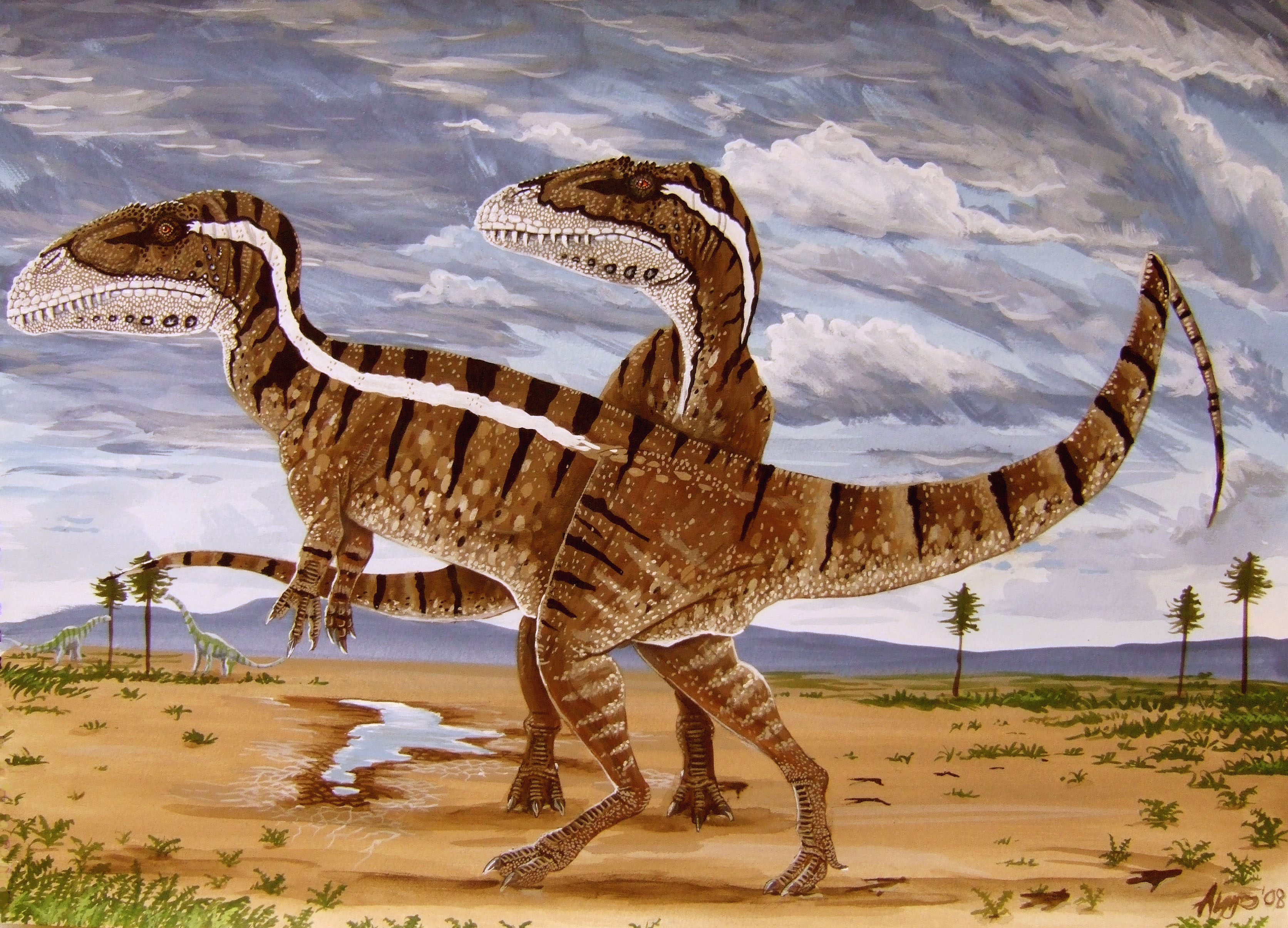 Динозавры это животные. Мегалозавр Мегалозавр. Тетануры. Megalosaurus динозавр. Мегалозавр Затерянный мир.