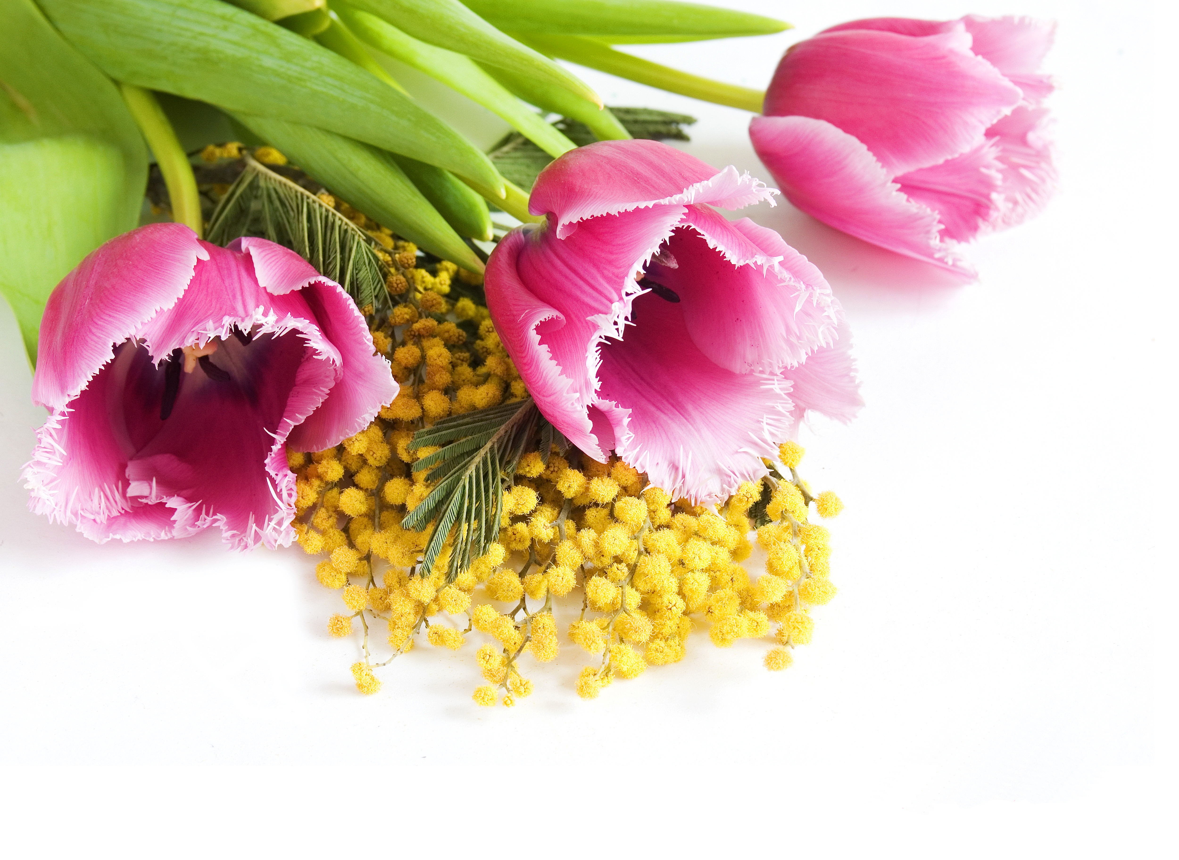 8 март бәйрәме белән открыткалар. Мимоза и тюльпаны. Весенний букет с мимозой и тюльпанами.