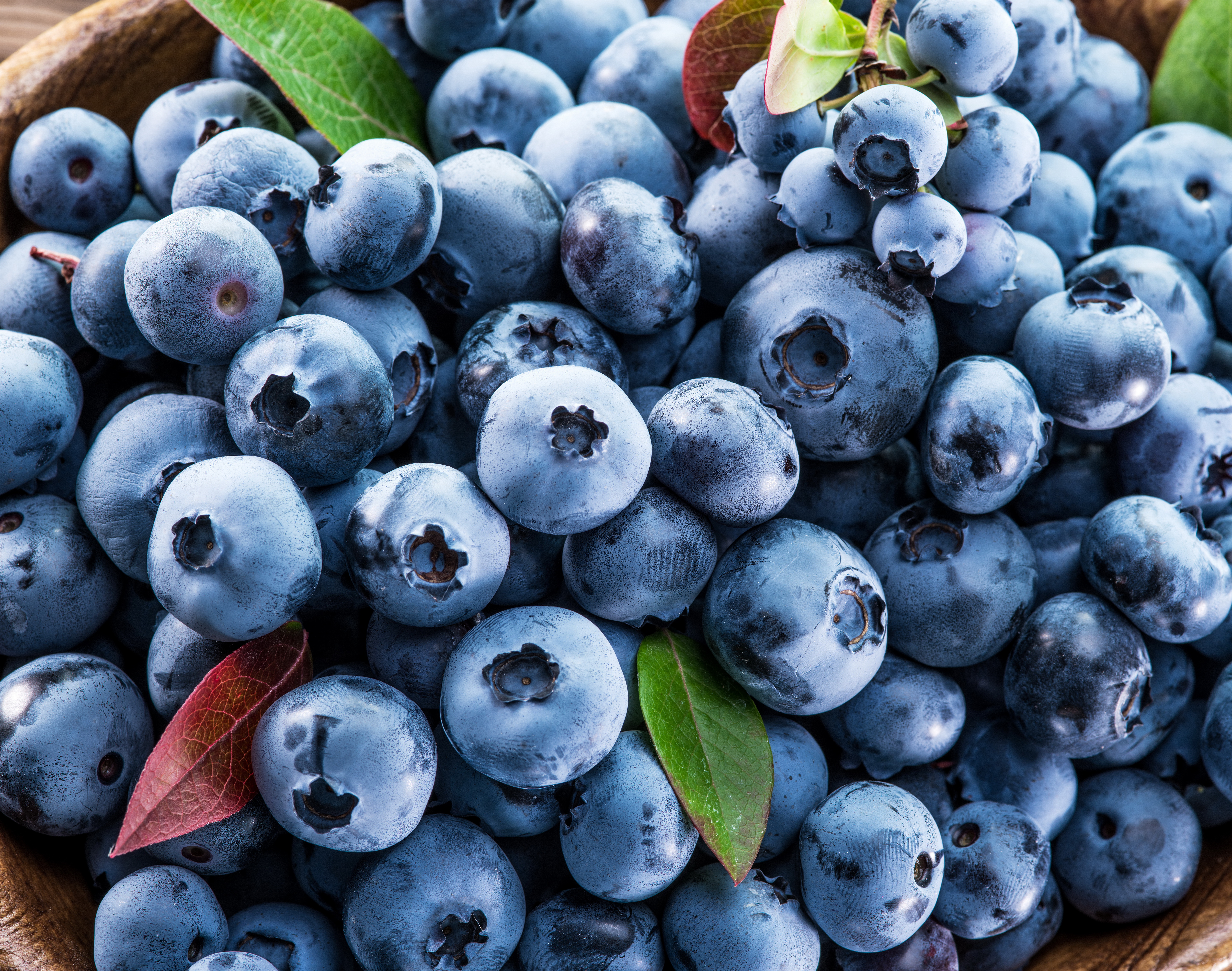 еда черника ягоды food blueberries berries бесплатно