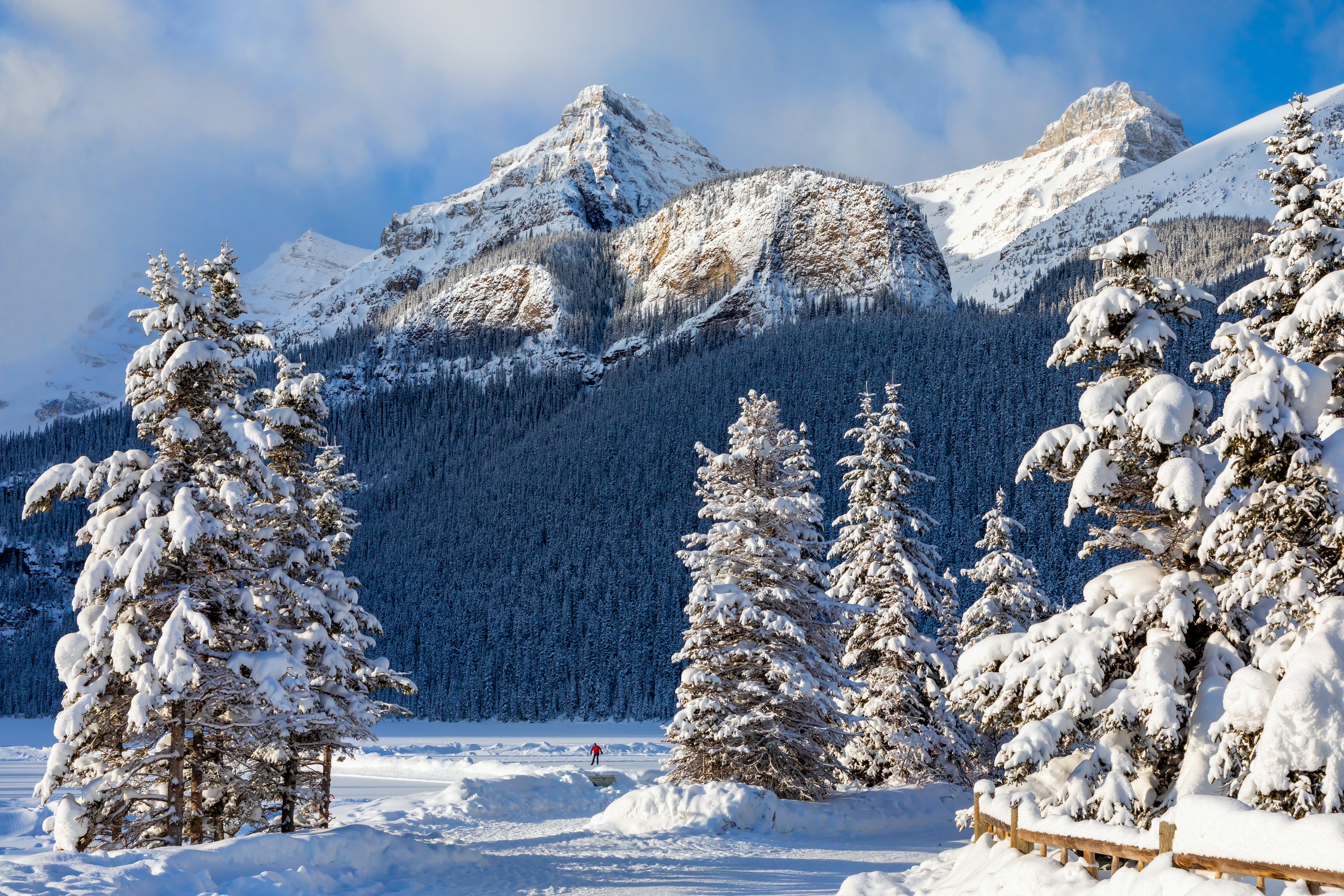 Snow is beautiful. Канада Банф зима. Национальный парк Банф лес. Национальный парк Банф в Канаде зима. Горы зима.