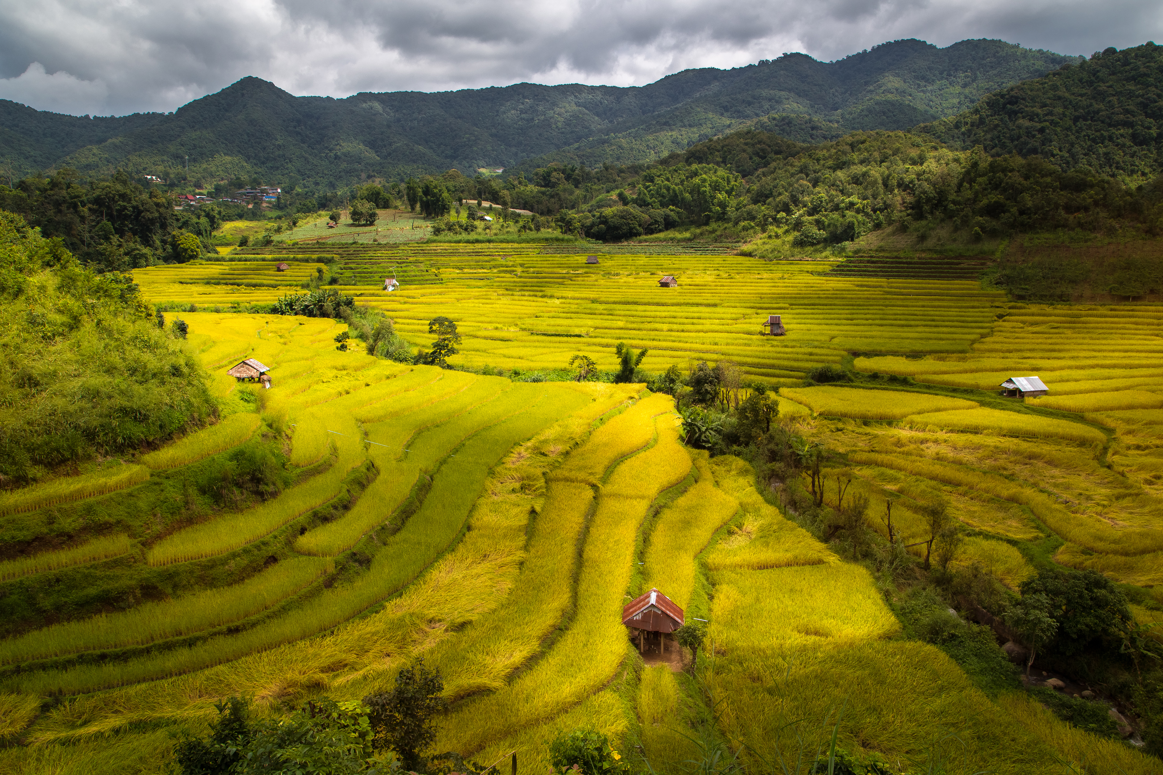 Картинка Вьетнам Природа Поля Холмы 4392x2928 холм холмов