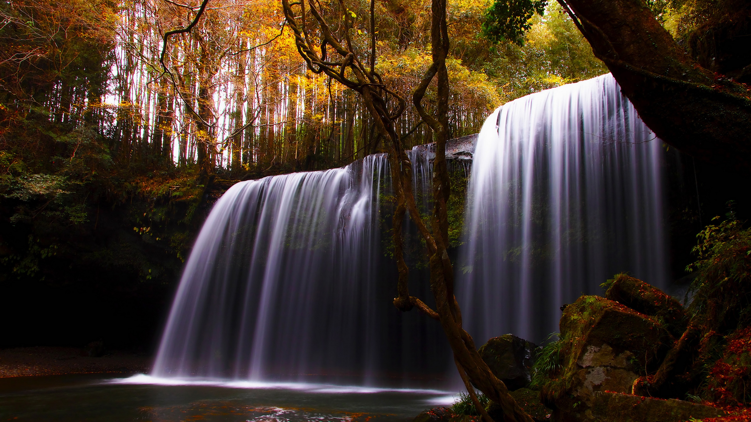 природа водопад деревья река бесплатно