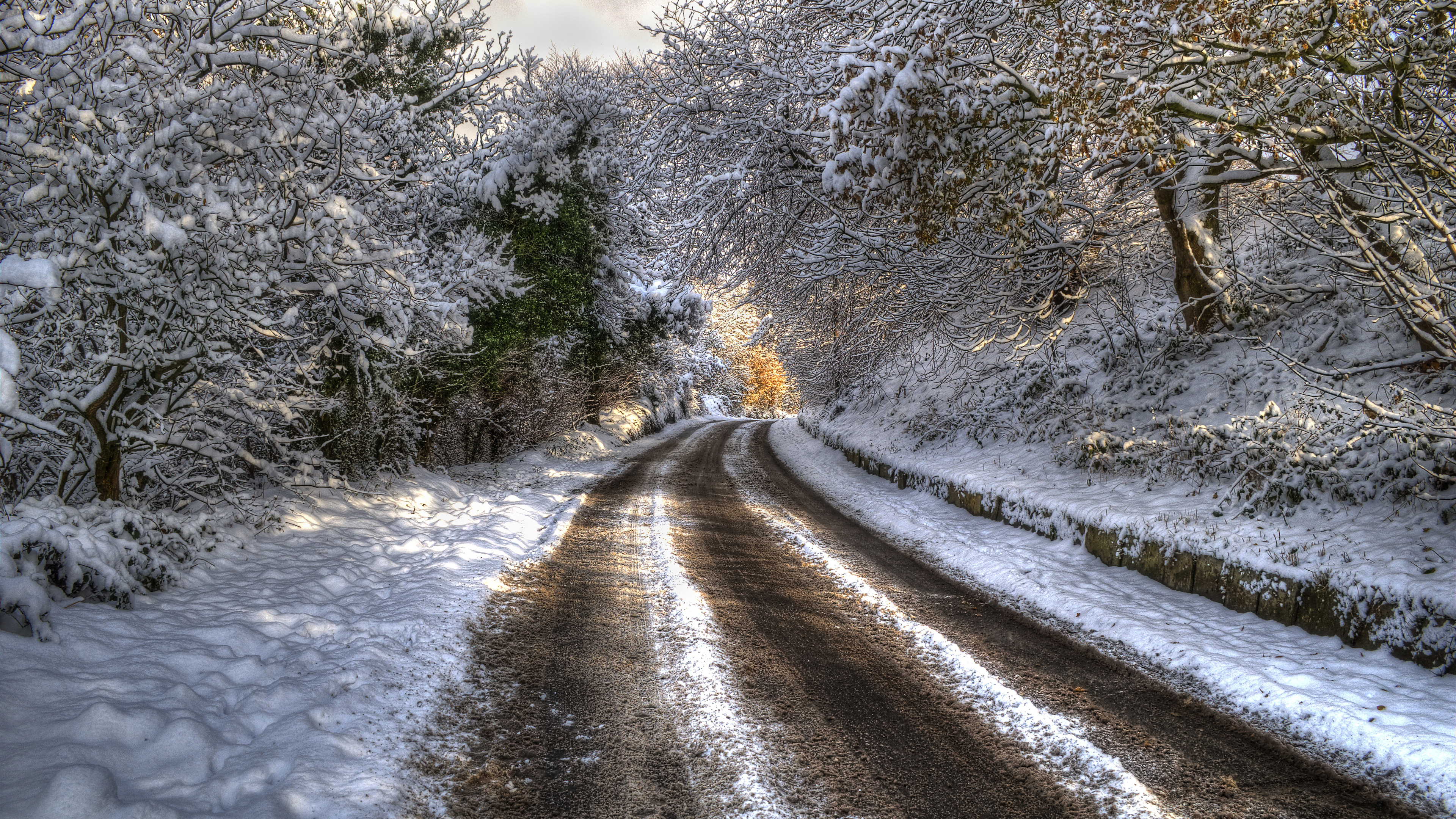 Дорога без снега. Зимняя дорога. Заснеженная дорога. Зимняя дорога в лесу. Природа зима дорога лес.