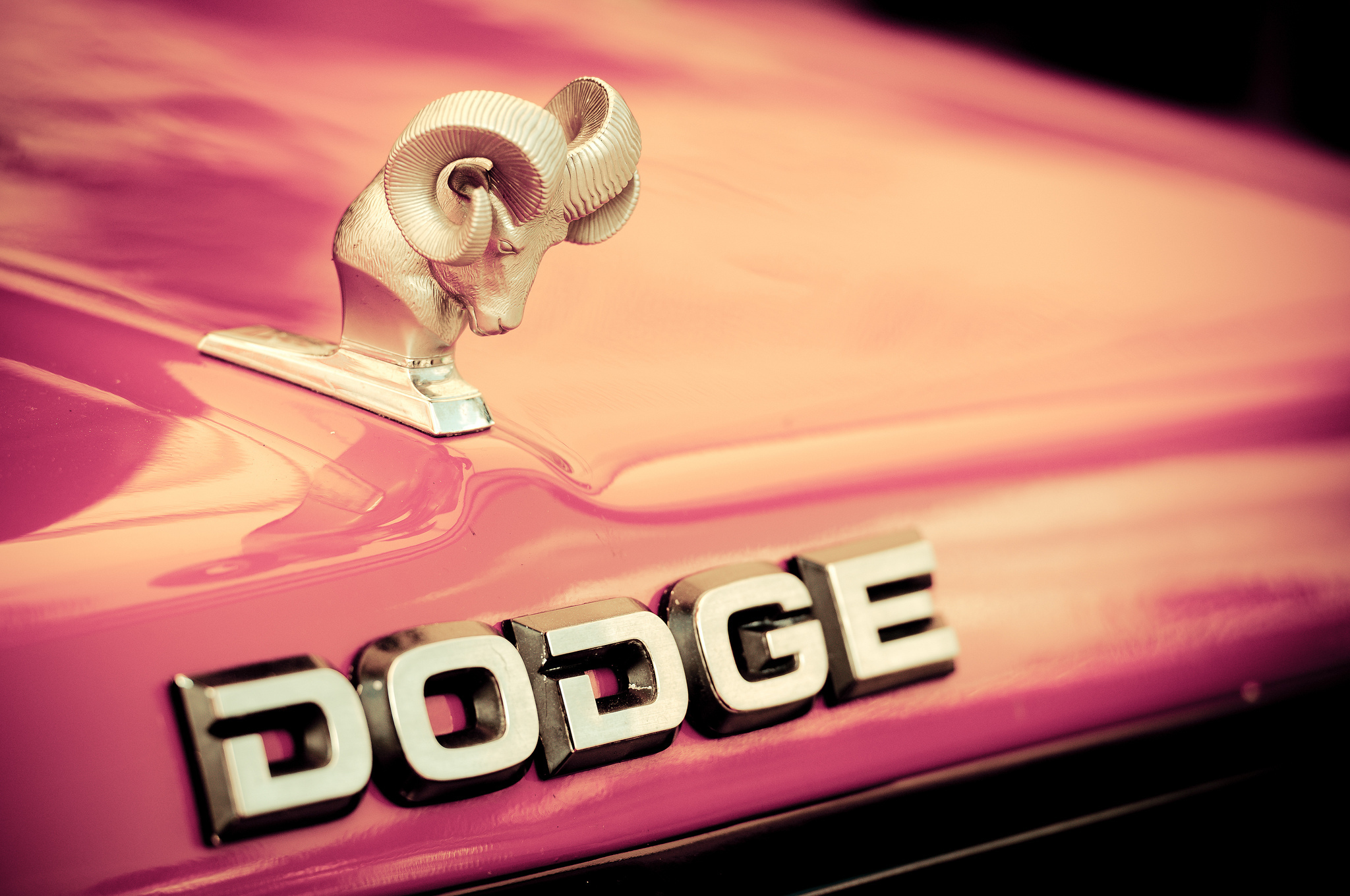 Dodge logo vector