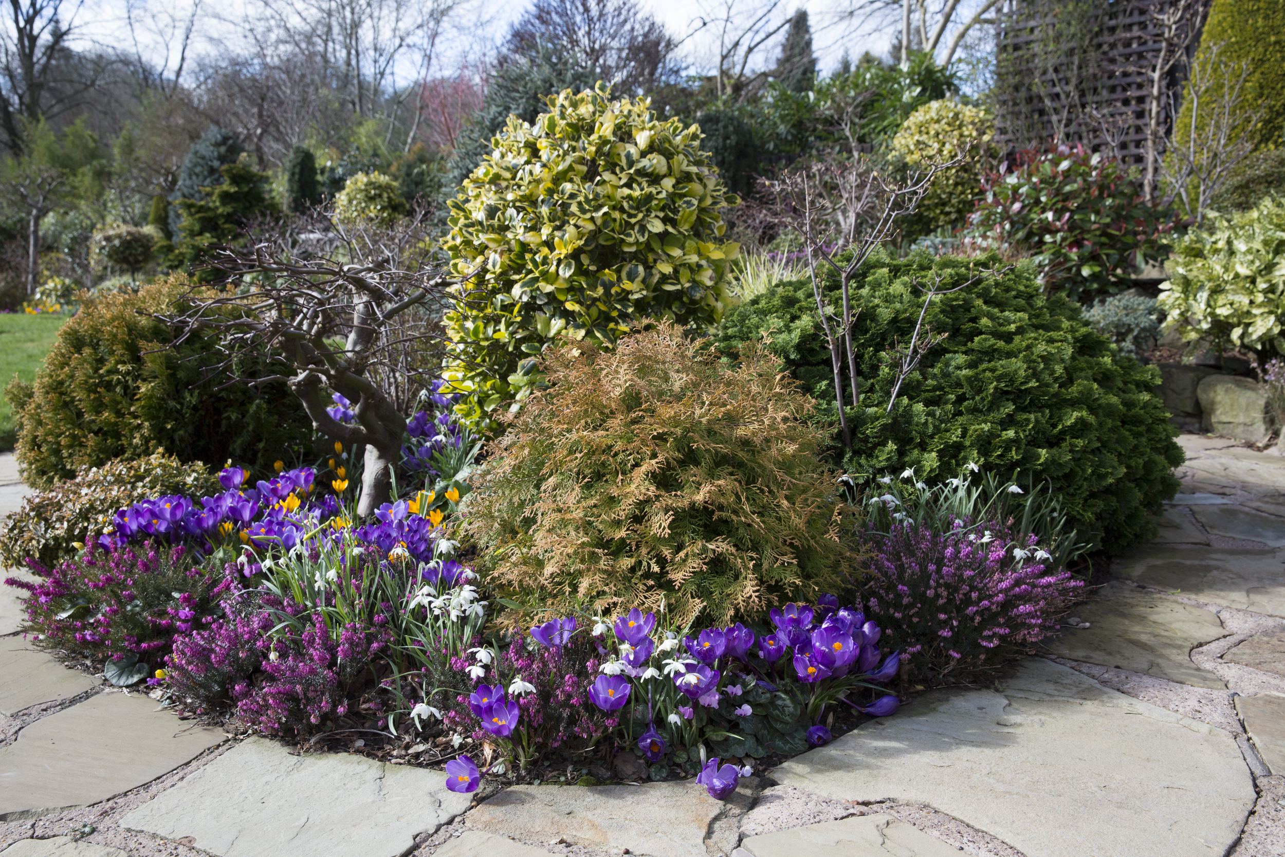 Spring Garden, England бесплатно