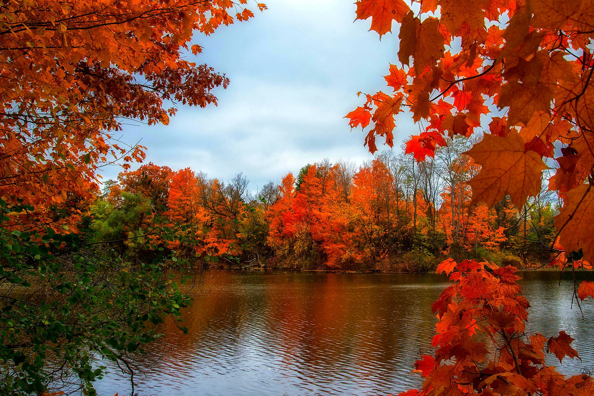 природа деревья река осень nature trees river autumn скачать
