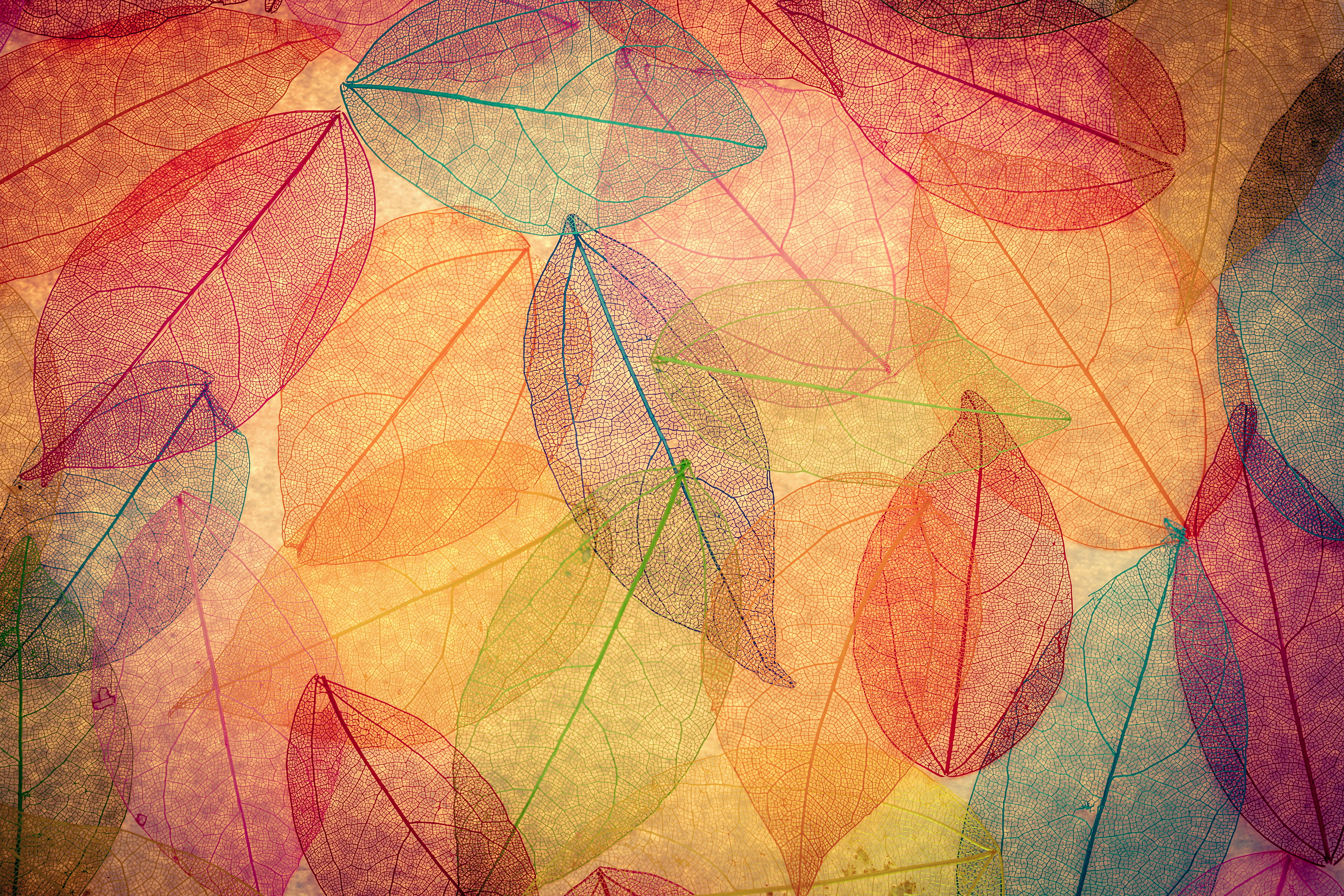 графика абстракция осень листья без смс