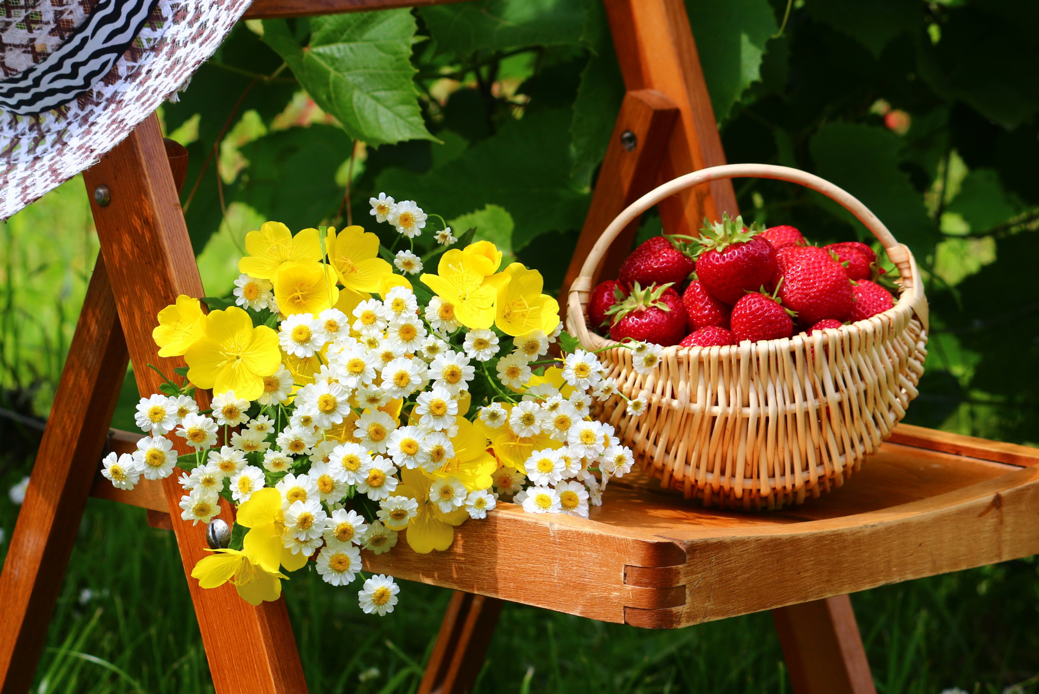 природа корзина клубника ягоды цветы ромашки загрузить