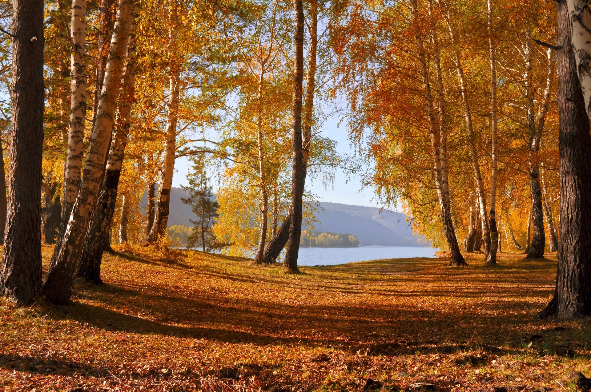 Осеннее озеро в лесу скачать