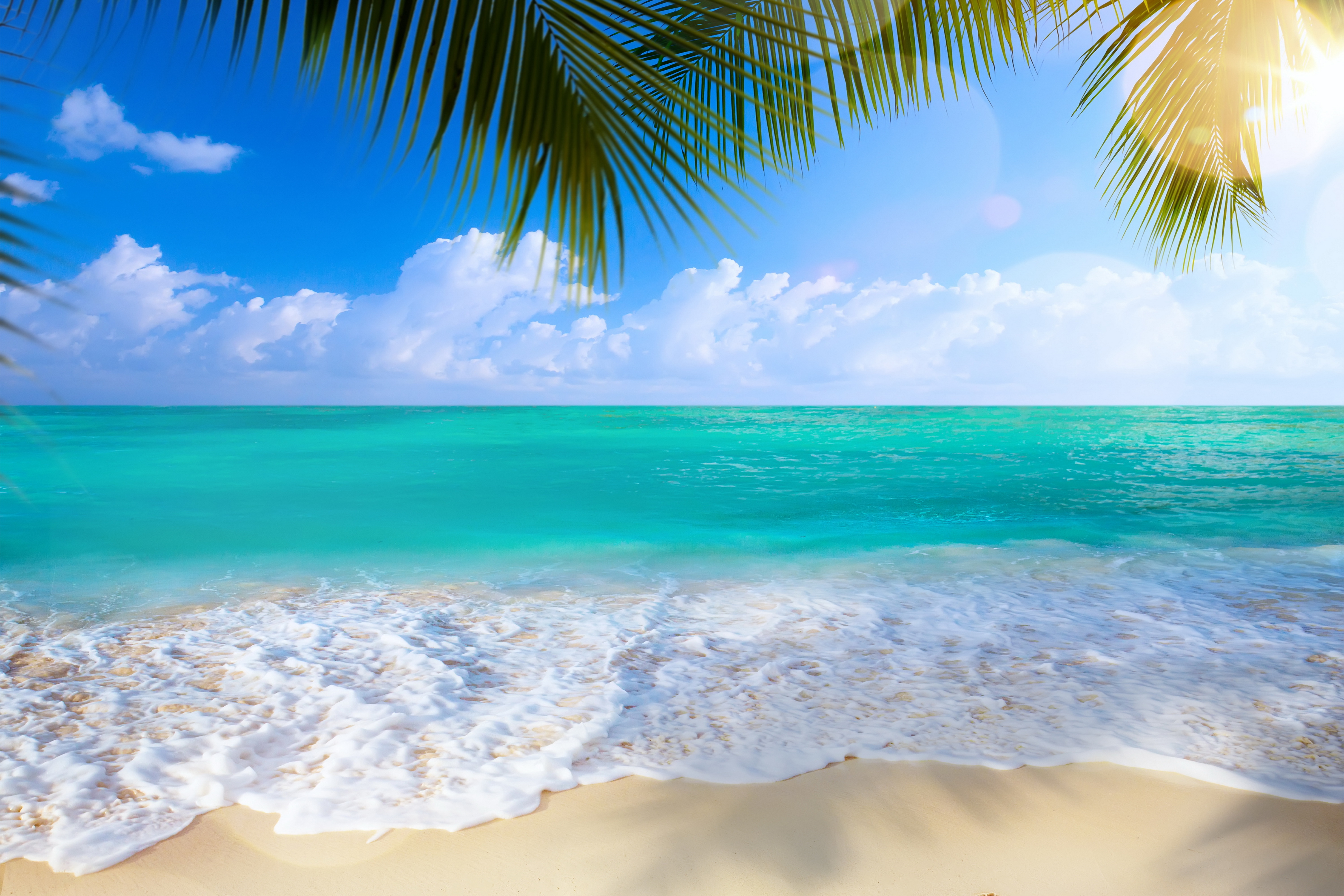Картинки для печати высокое разрешение. Море пляж. Морской пляж. Лазурный пляж. Море пляж пальмы.